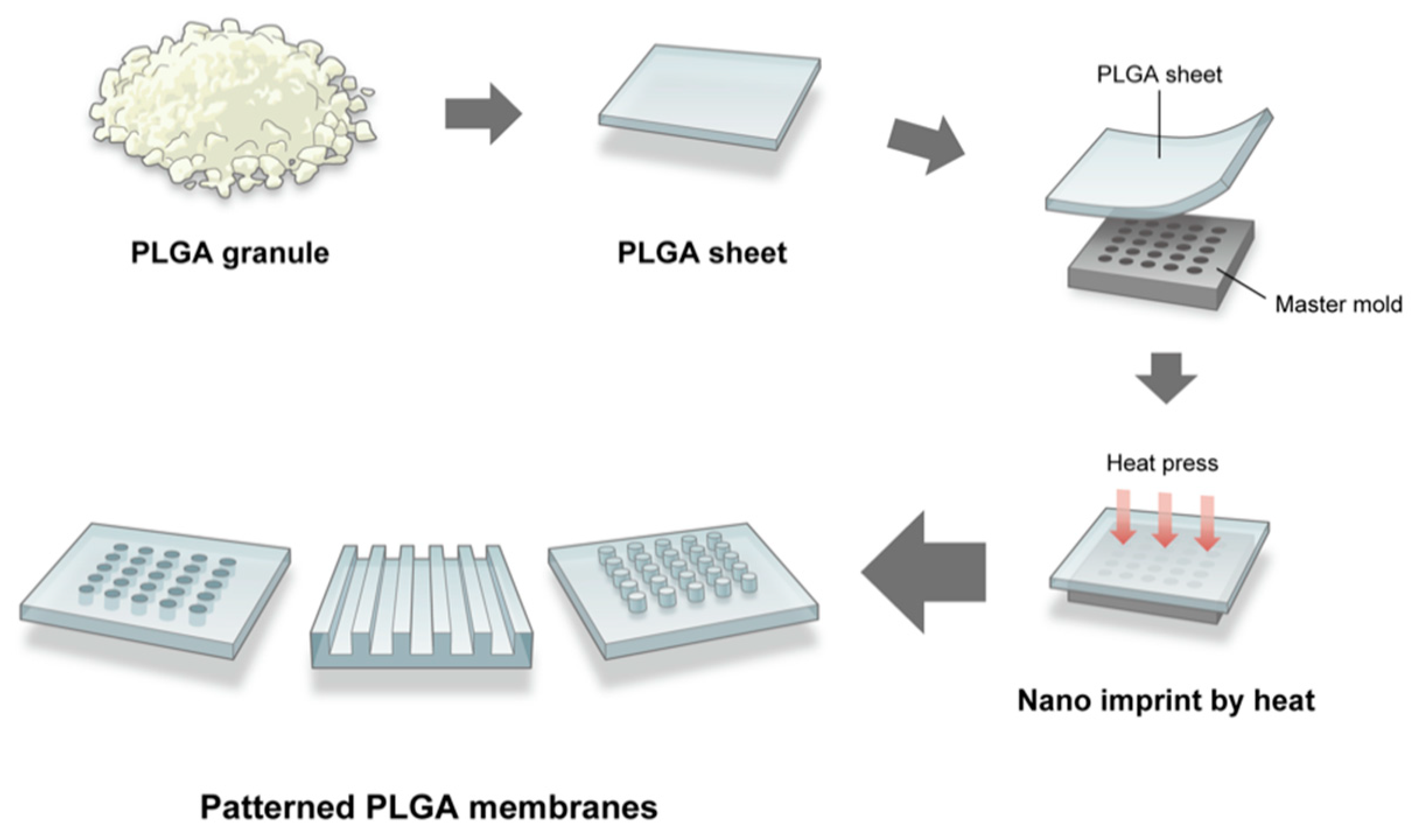 Dentistry 09 00124 g001