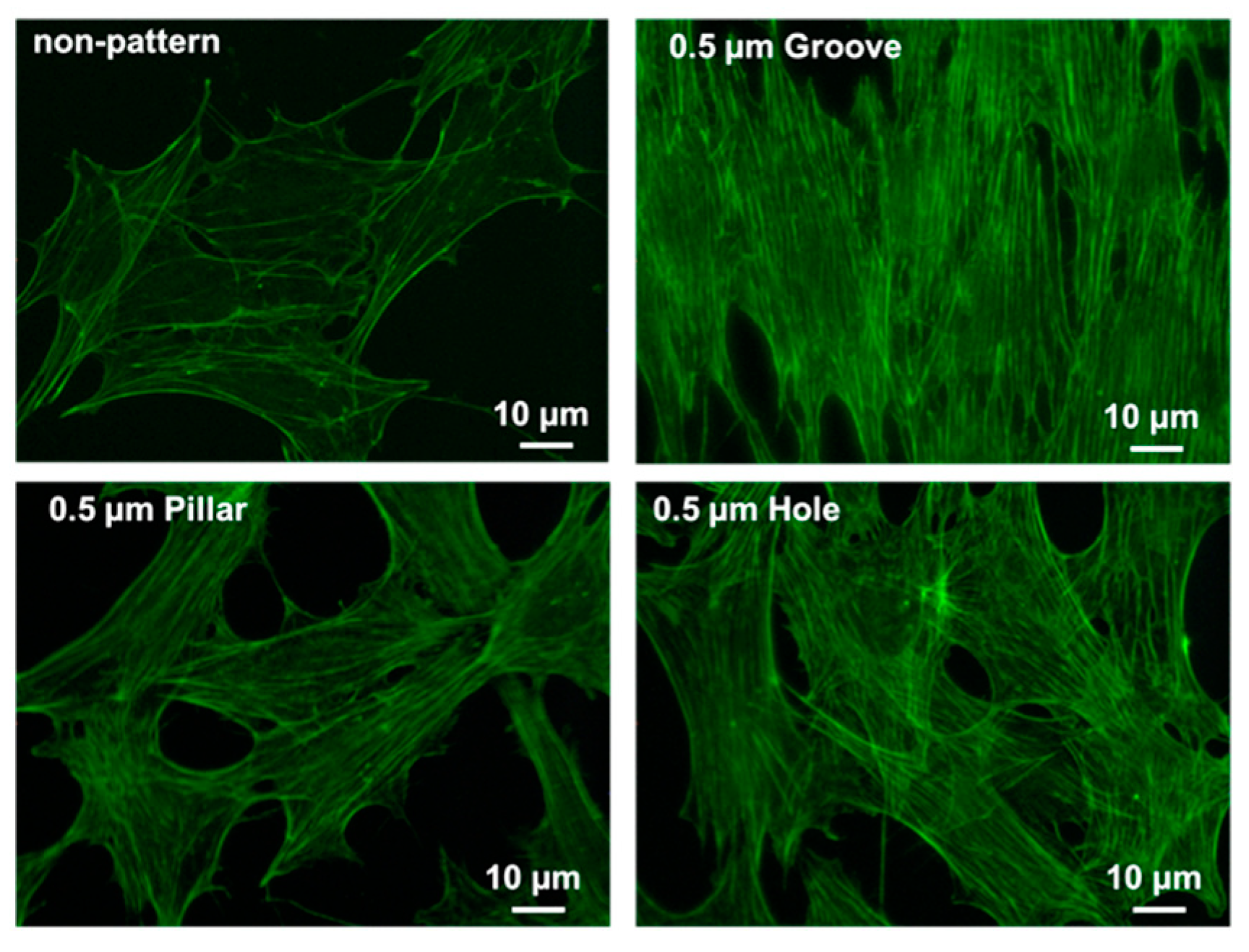 Dentistry 09 00124 g007