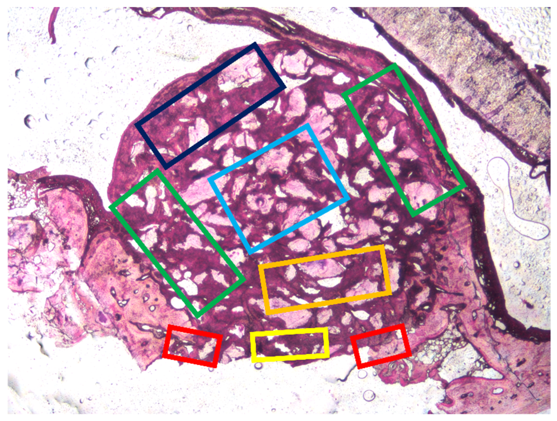 Dentistry 09 00131 g002 550
