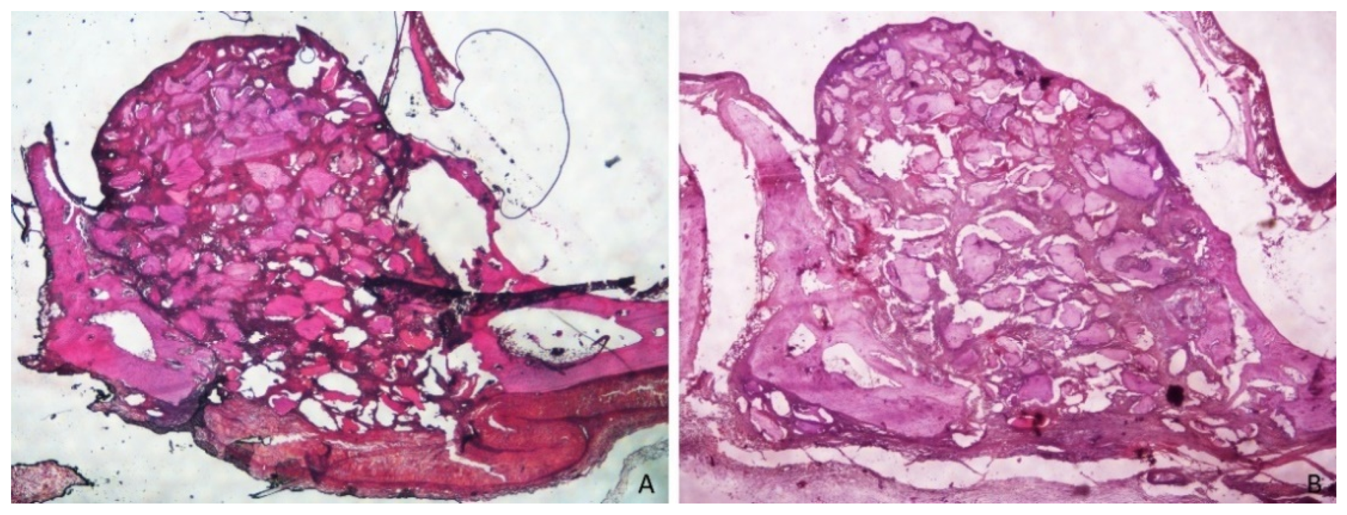 Dentistry 09 00131 g003 550