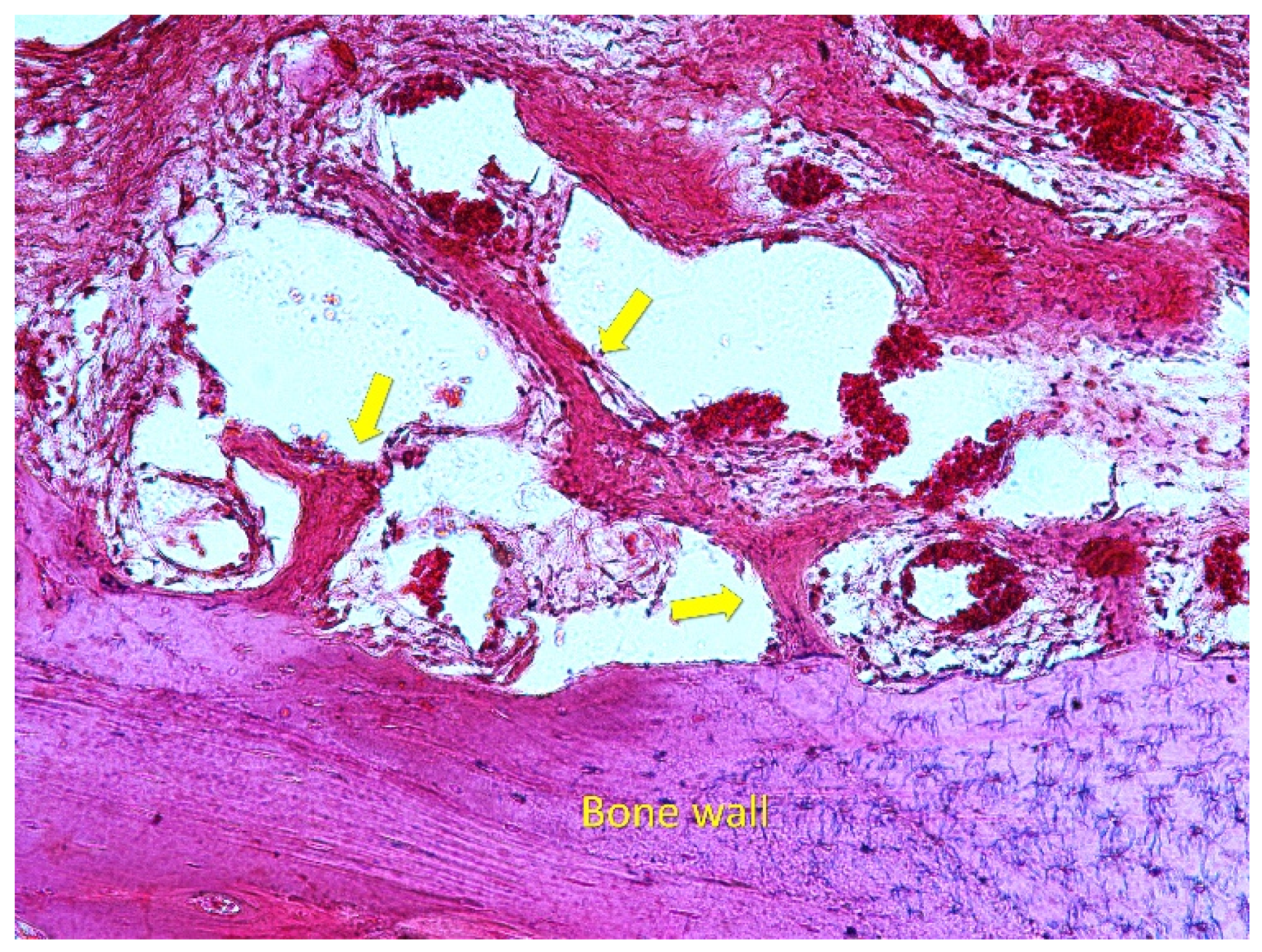 Dentistry 09 00131 g005 550