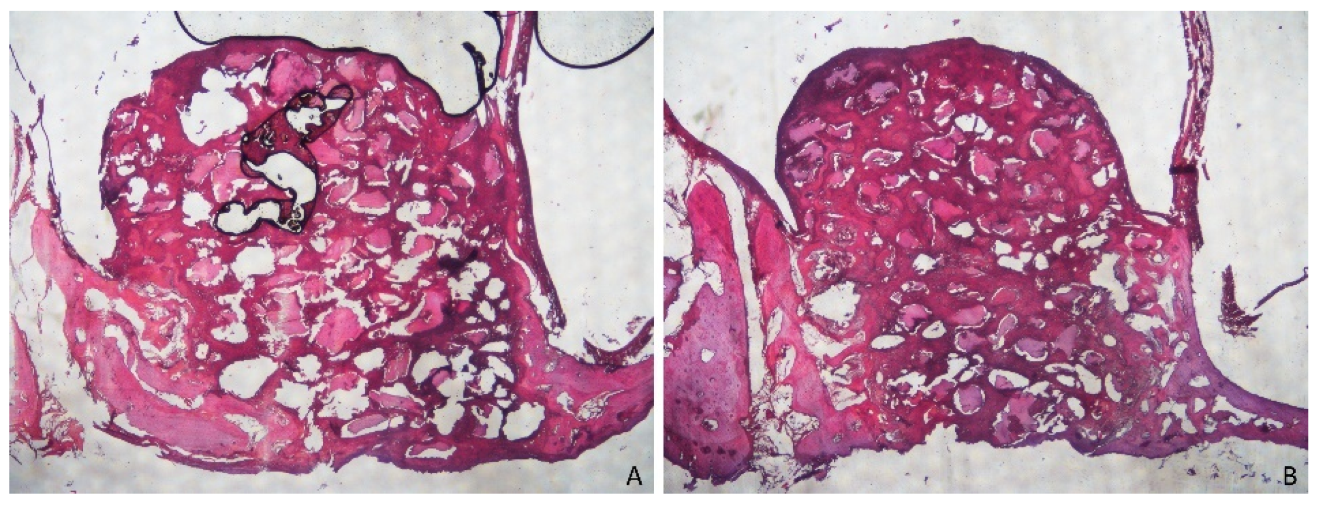 Dentistry 09 00131 g007 550
