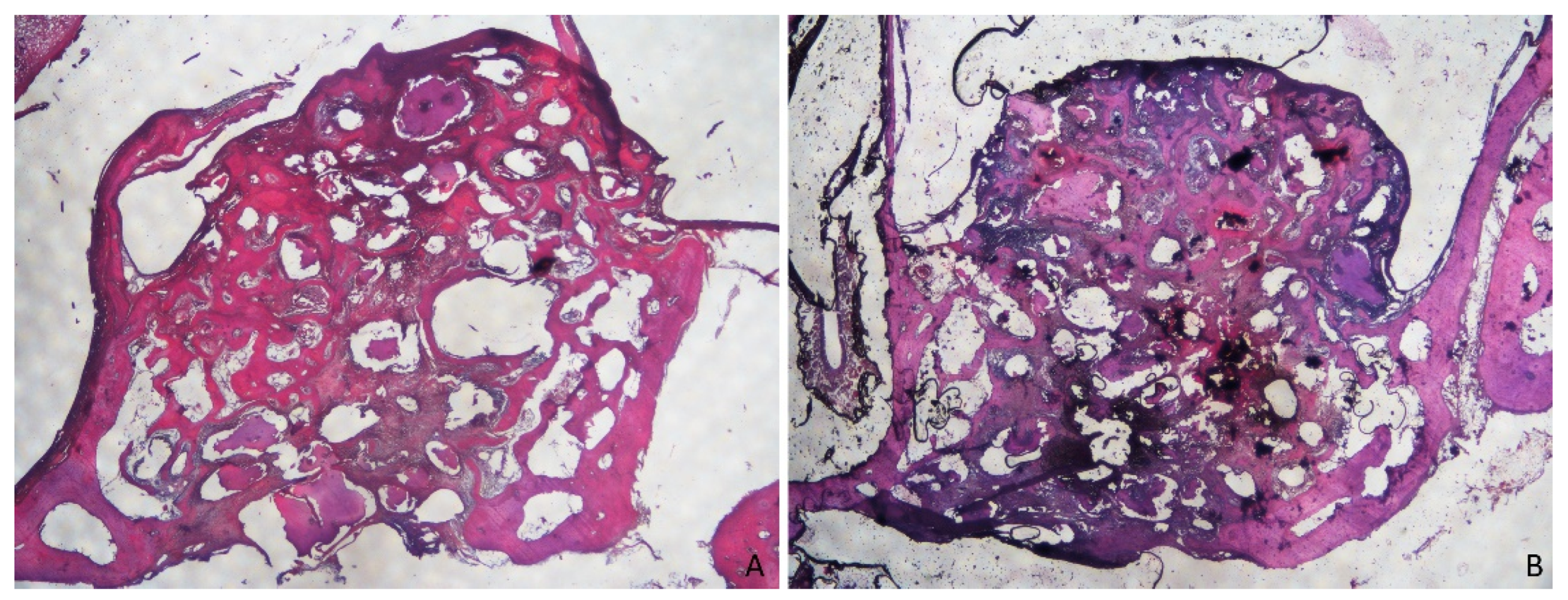 Dentistry 09 00131 g008 550