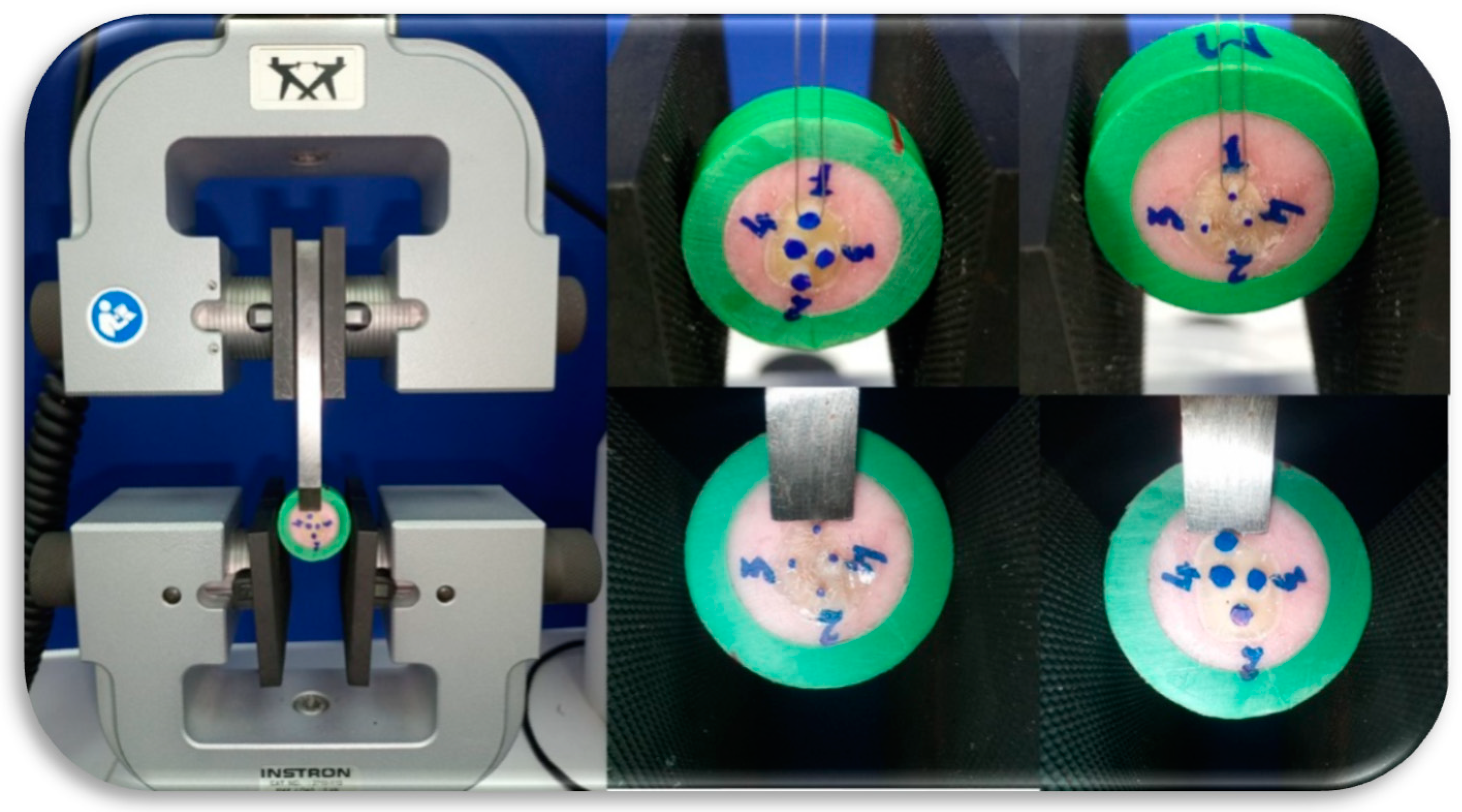 Dentistry 09 00140 g002