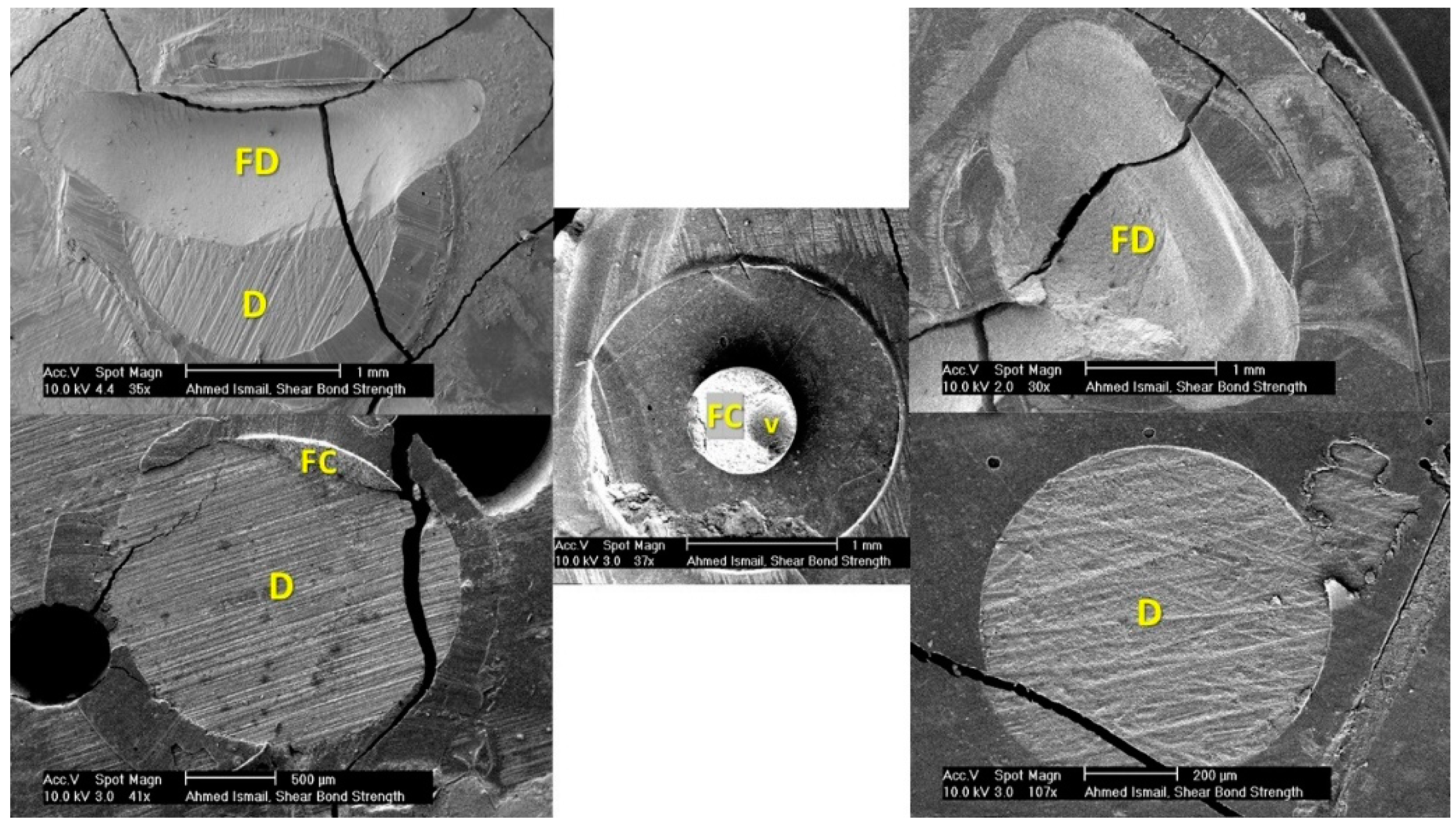 Dentistry 09 00140 g005