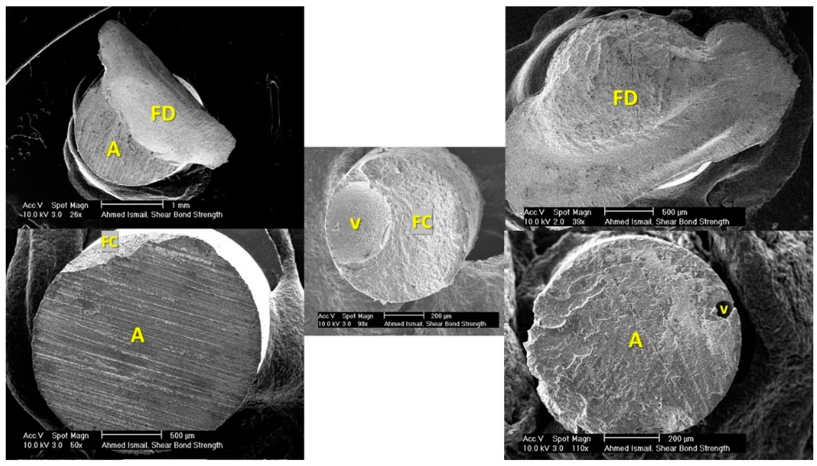 Dentistry 09 00140 g006
