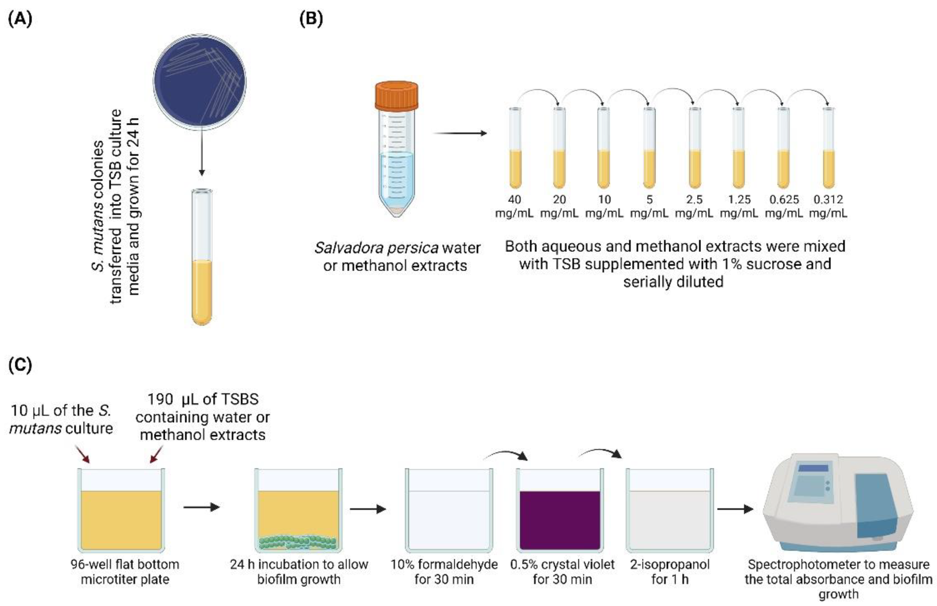 Dentistry 09 00143 g001 550