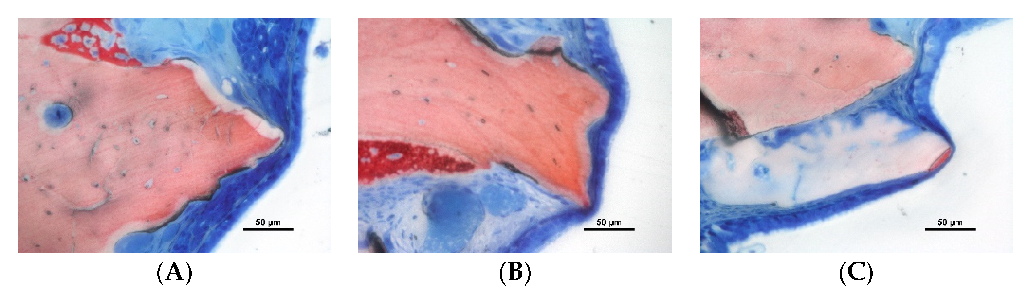 Dentistry 10 00002 g002 550