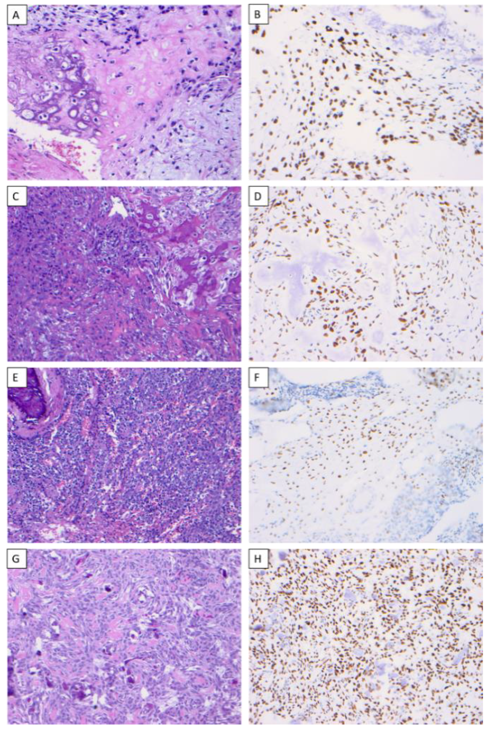 Dentistry 10 00004 g001 550