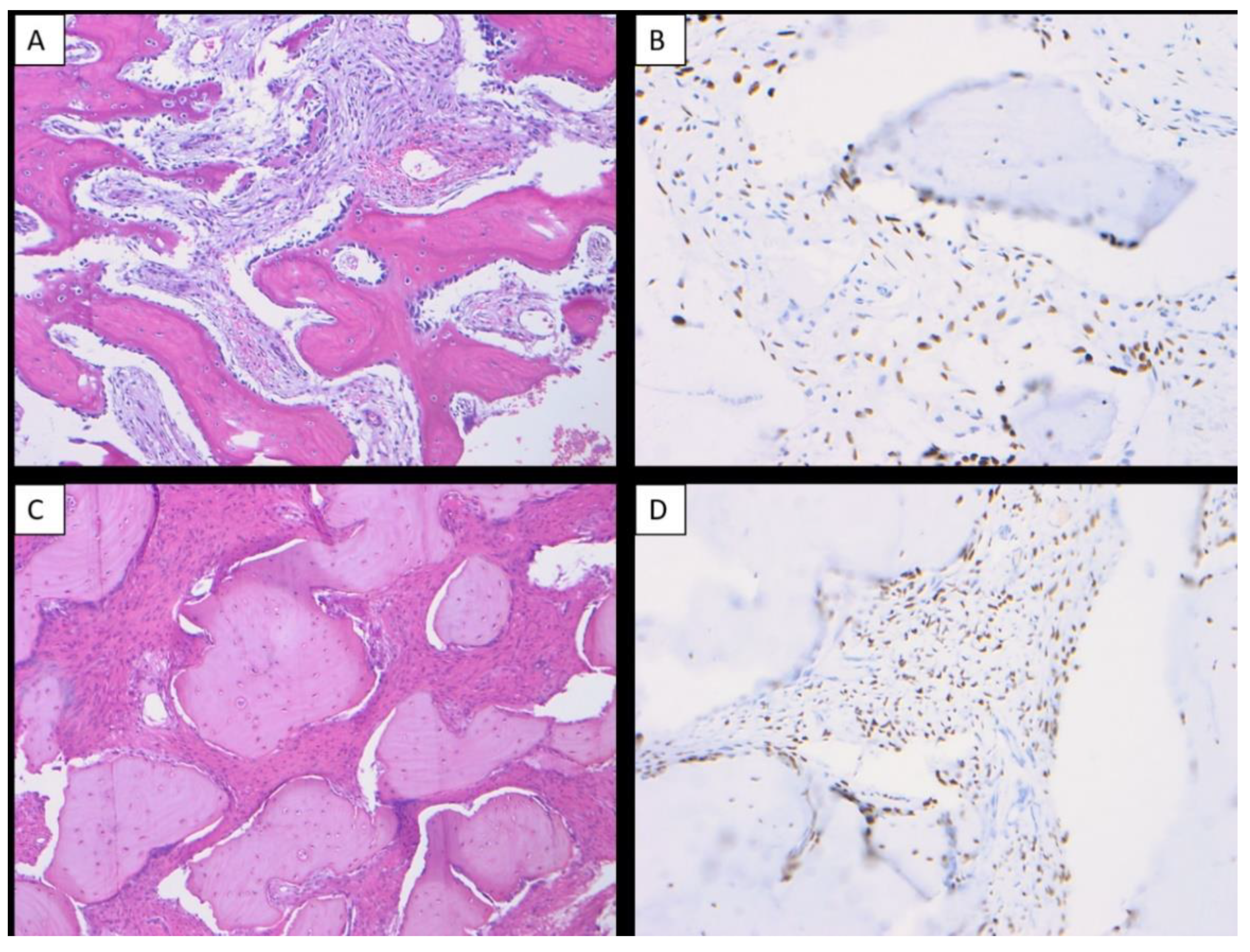 Dentistry 10 00004 g002 550