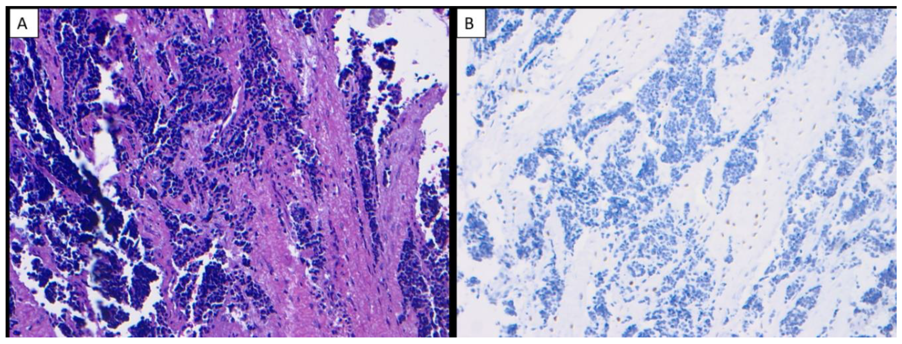 Dentistry 10 00004 g003 550