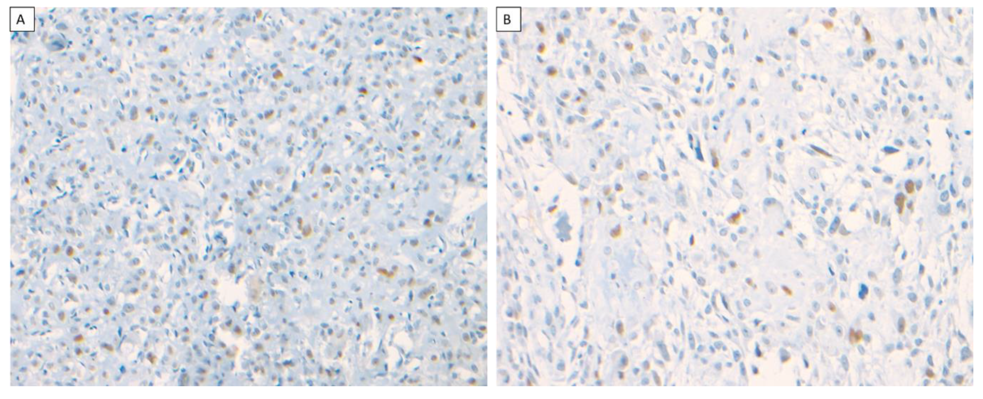 Dentistry 10 00004 g004 550