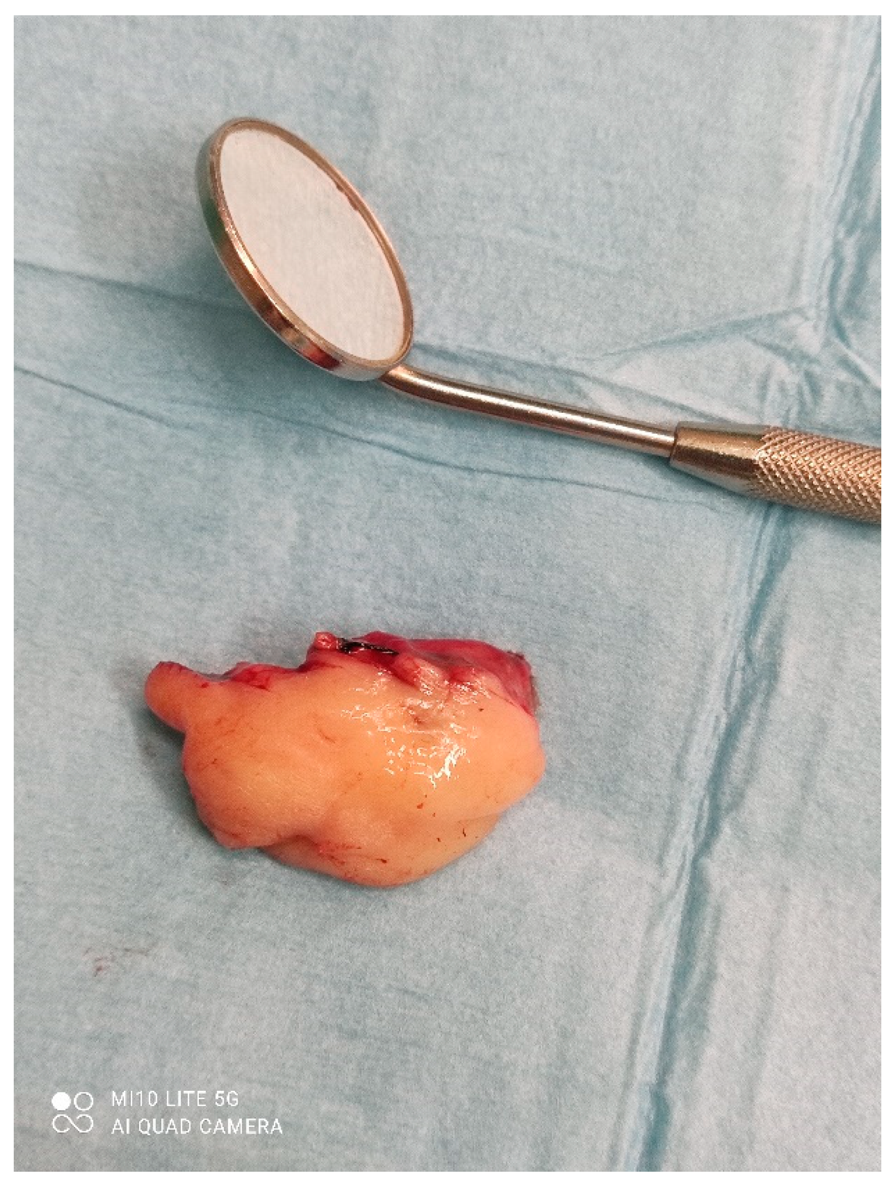 Dentistry 10 00009 g005