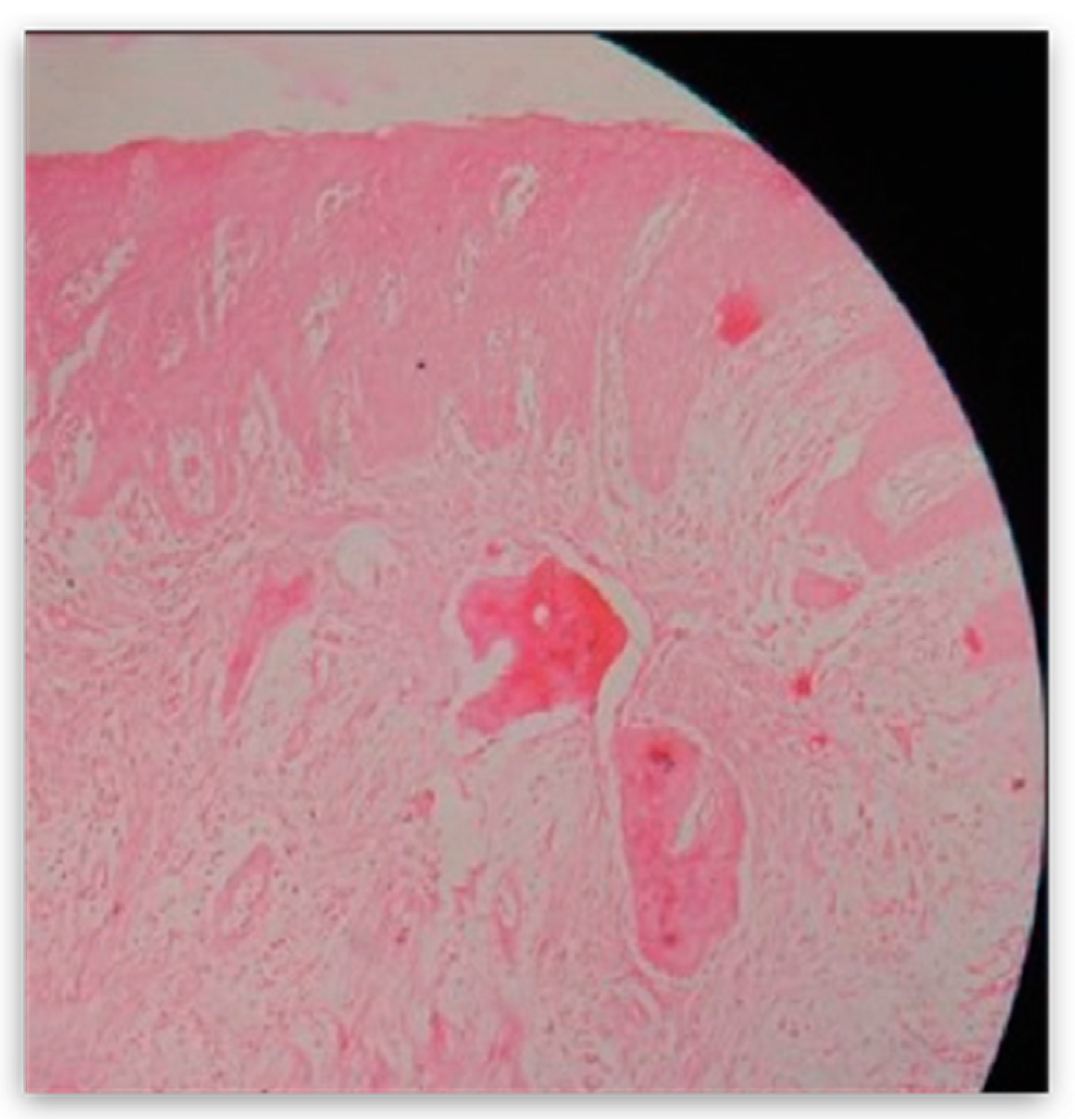 Dentistry 10 00009 g008