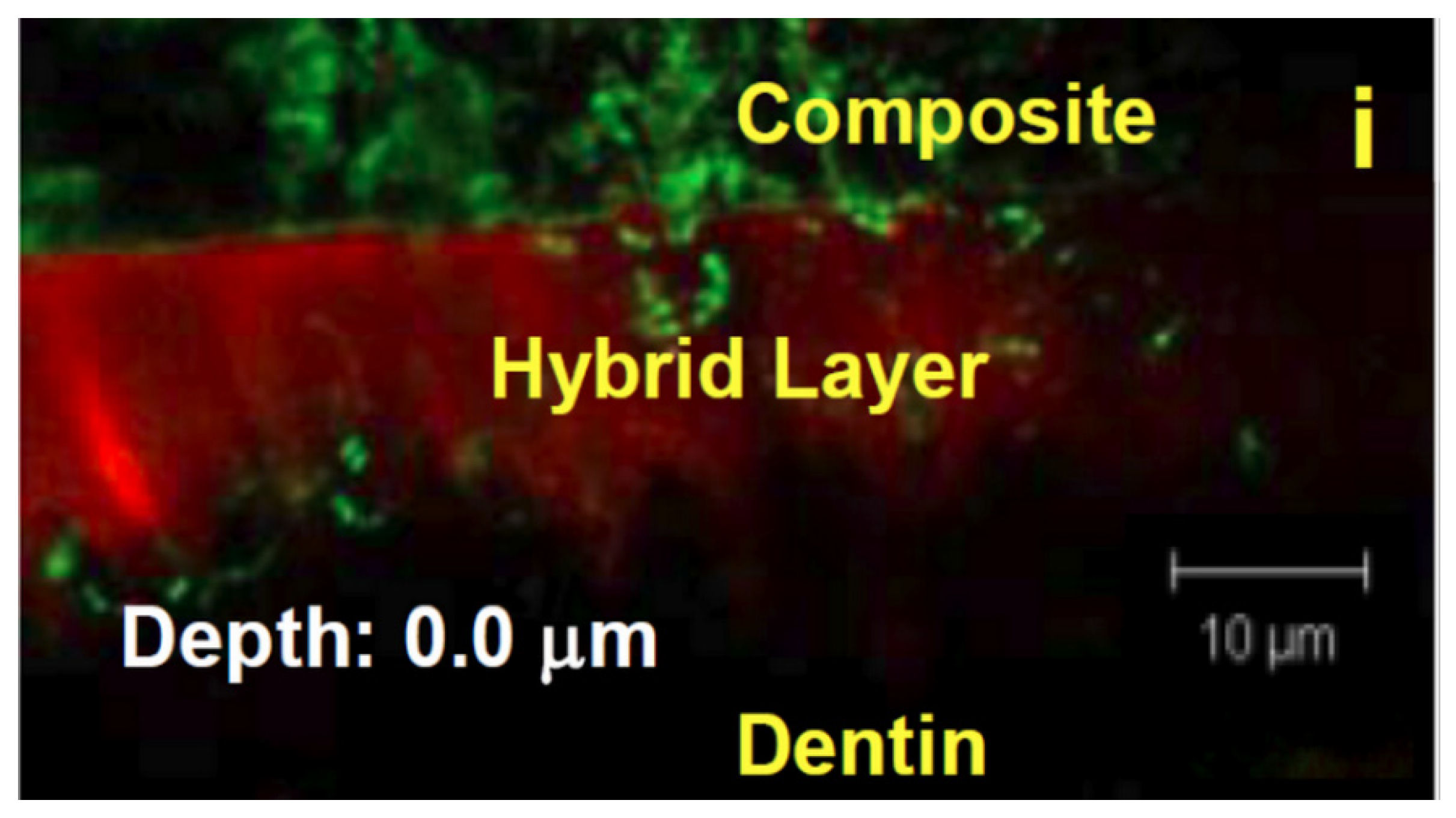 Dentistry 10 00013 g003 Dentistry 10 00013 g003