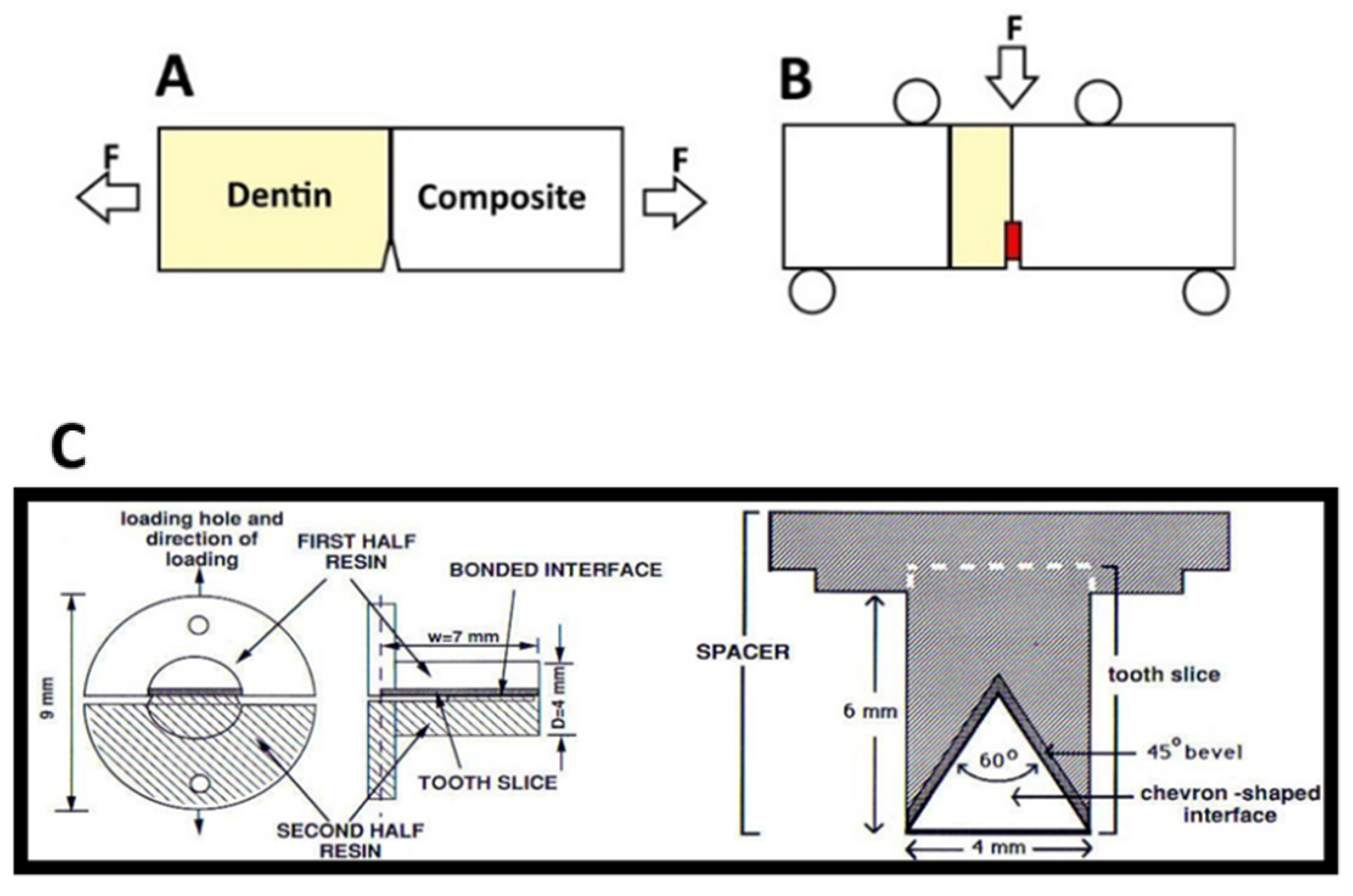 Dentistry 10 00013 g006 Dentistry 10 00013 g006