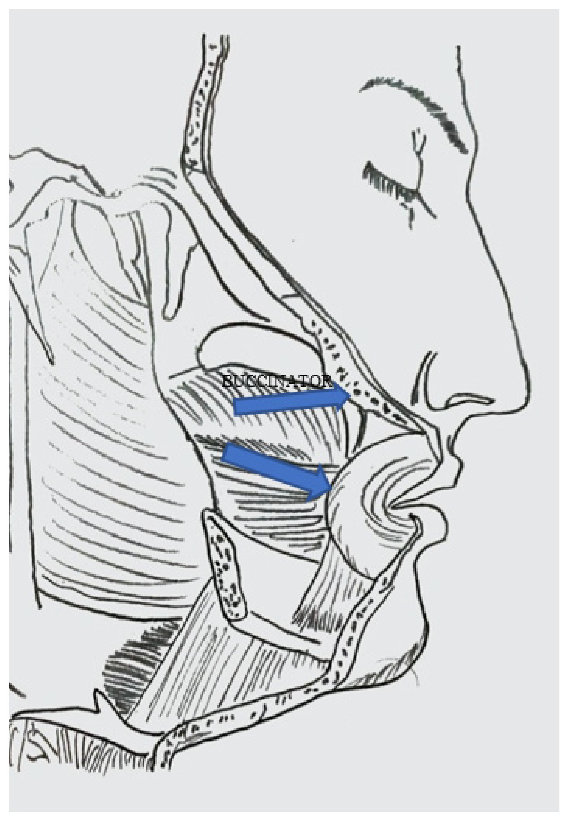 Dentistry 10 00019 g0a1 550