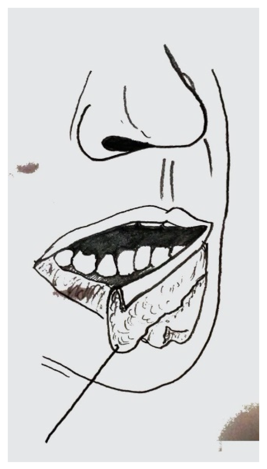 Dentistry 10 00019 g0a3 550