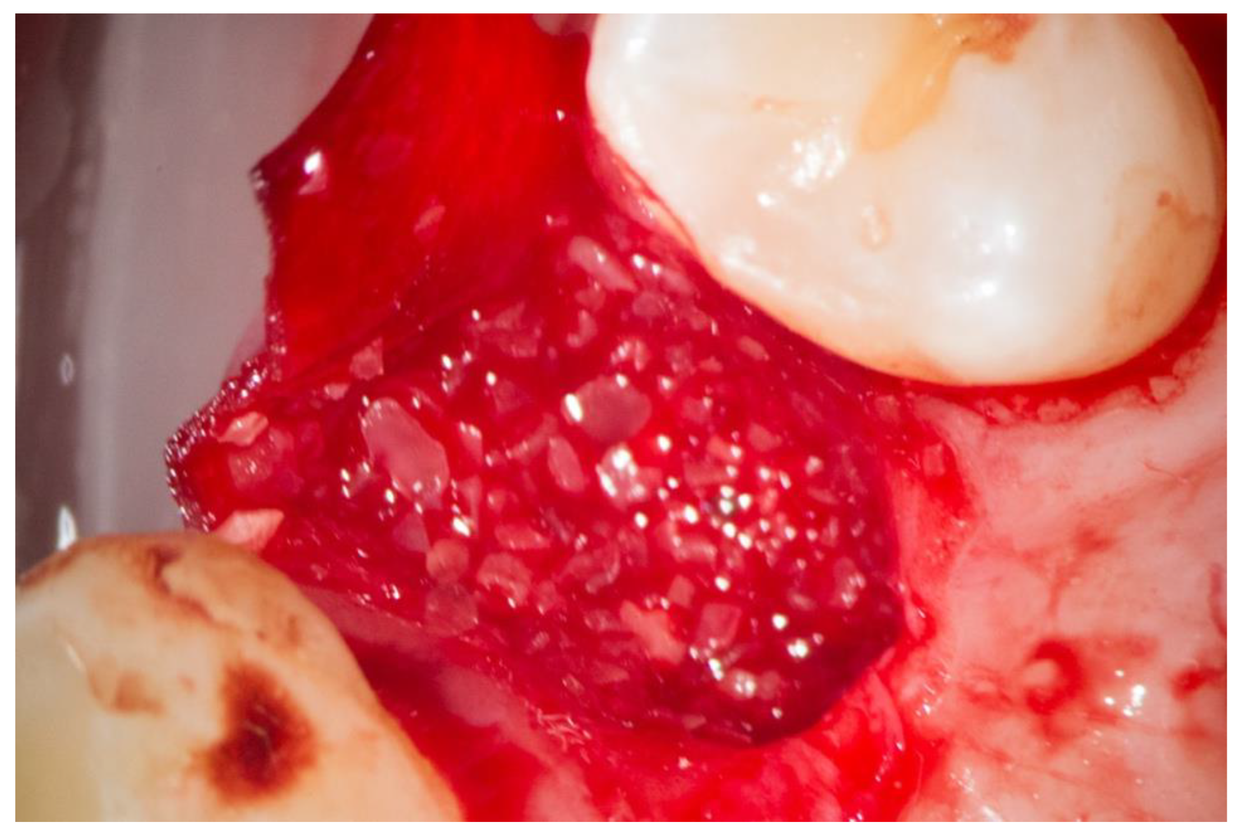 Dentistry 10 00029 g004