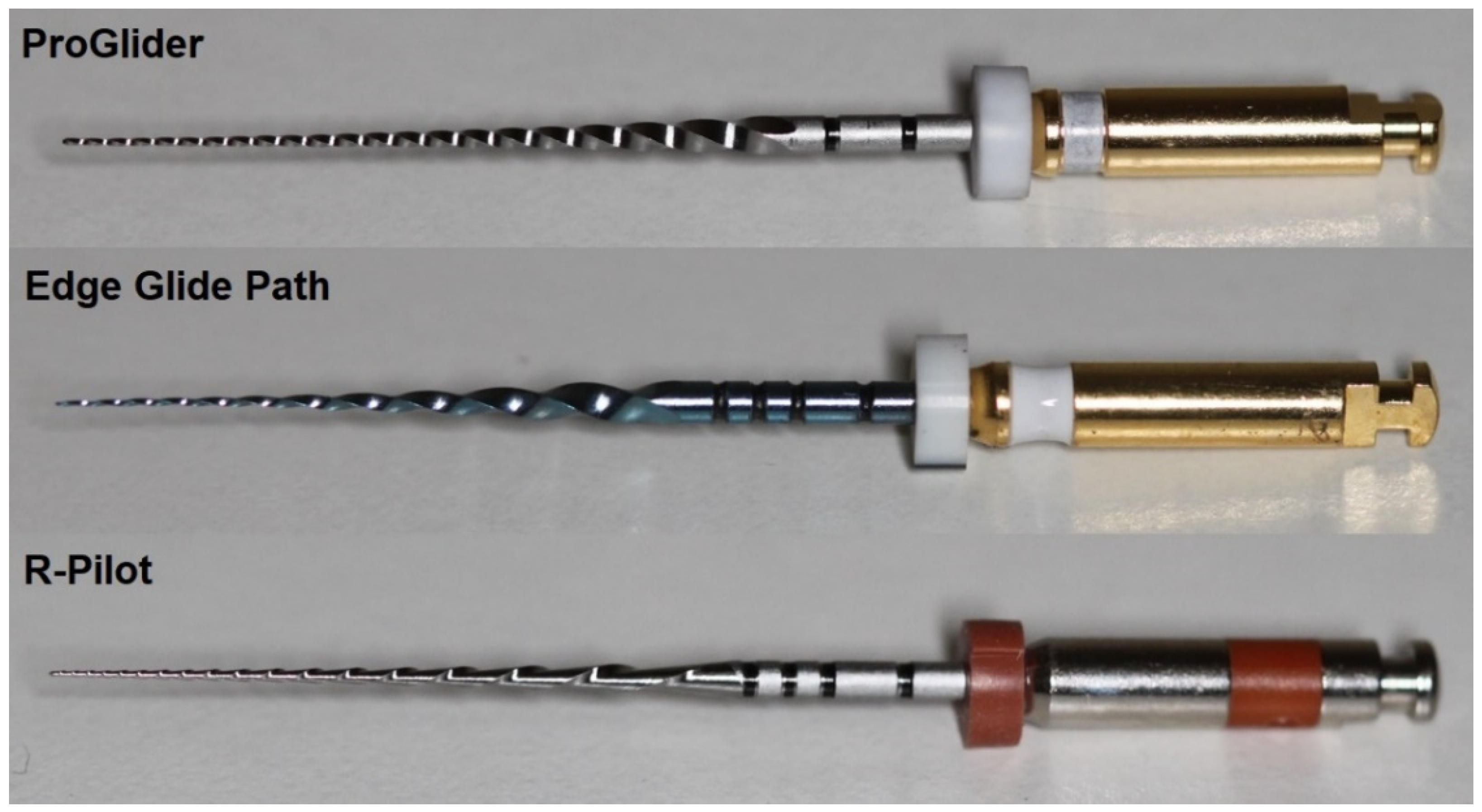 Edge Endo - v2npmgf