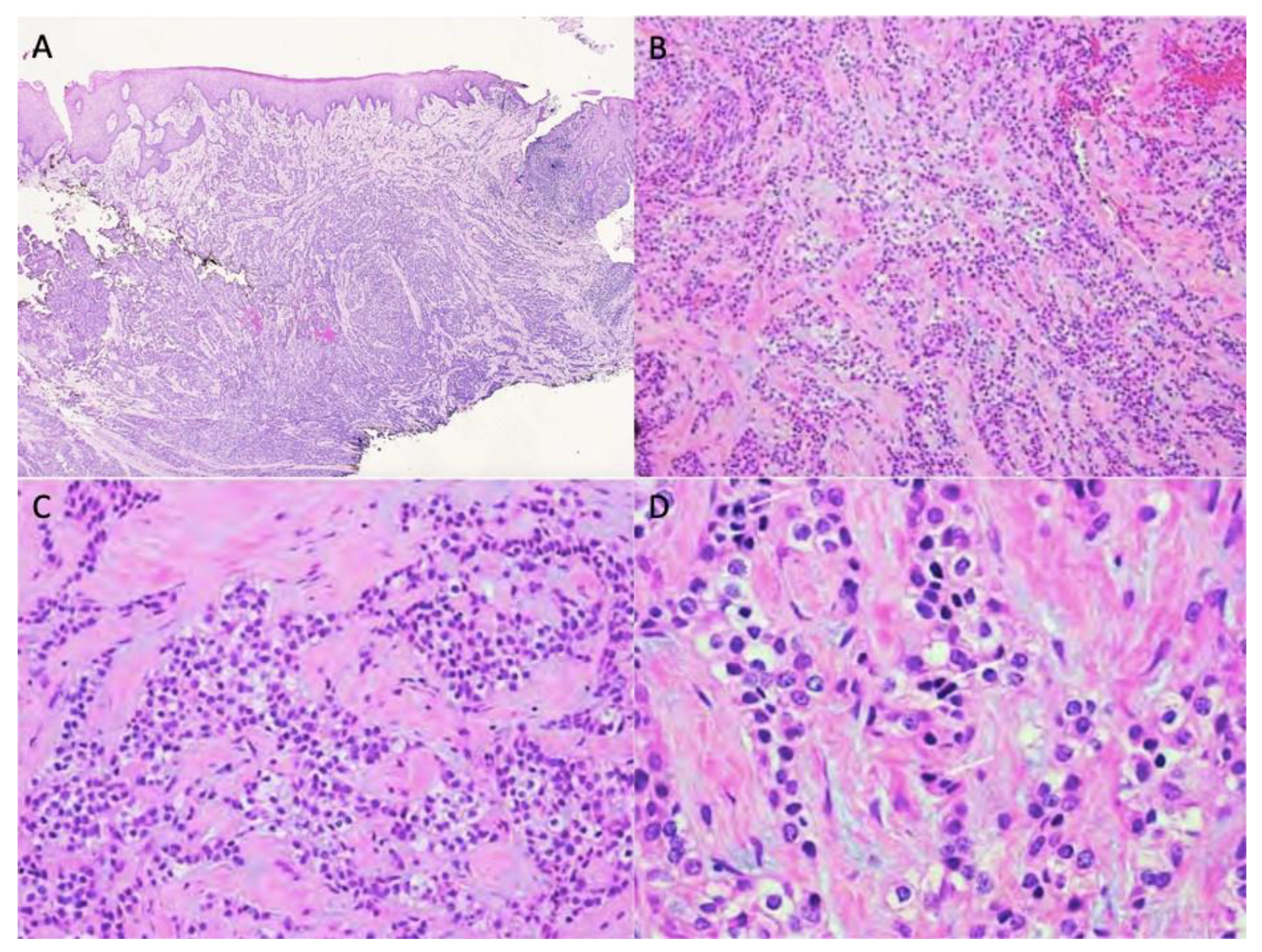 Dentistry 10 00034 g002