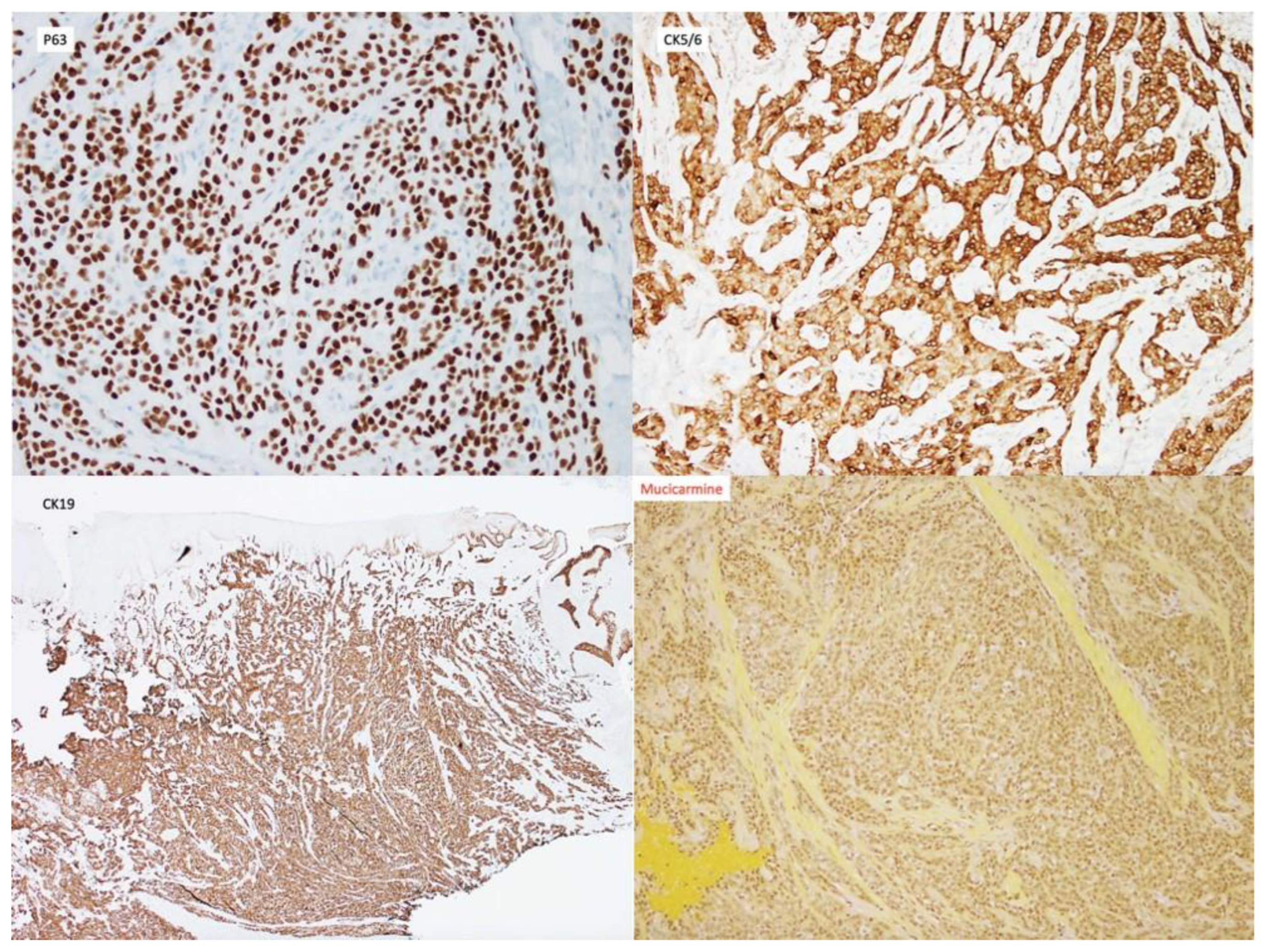 Dentistry 10 00034 g003