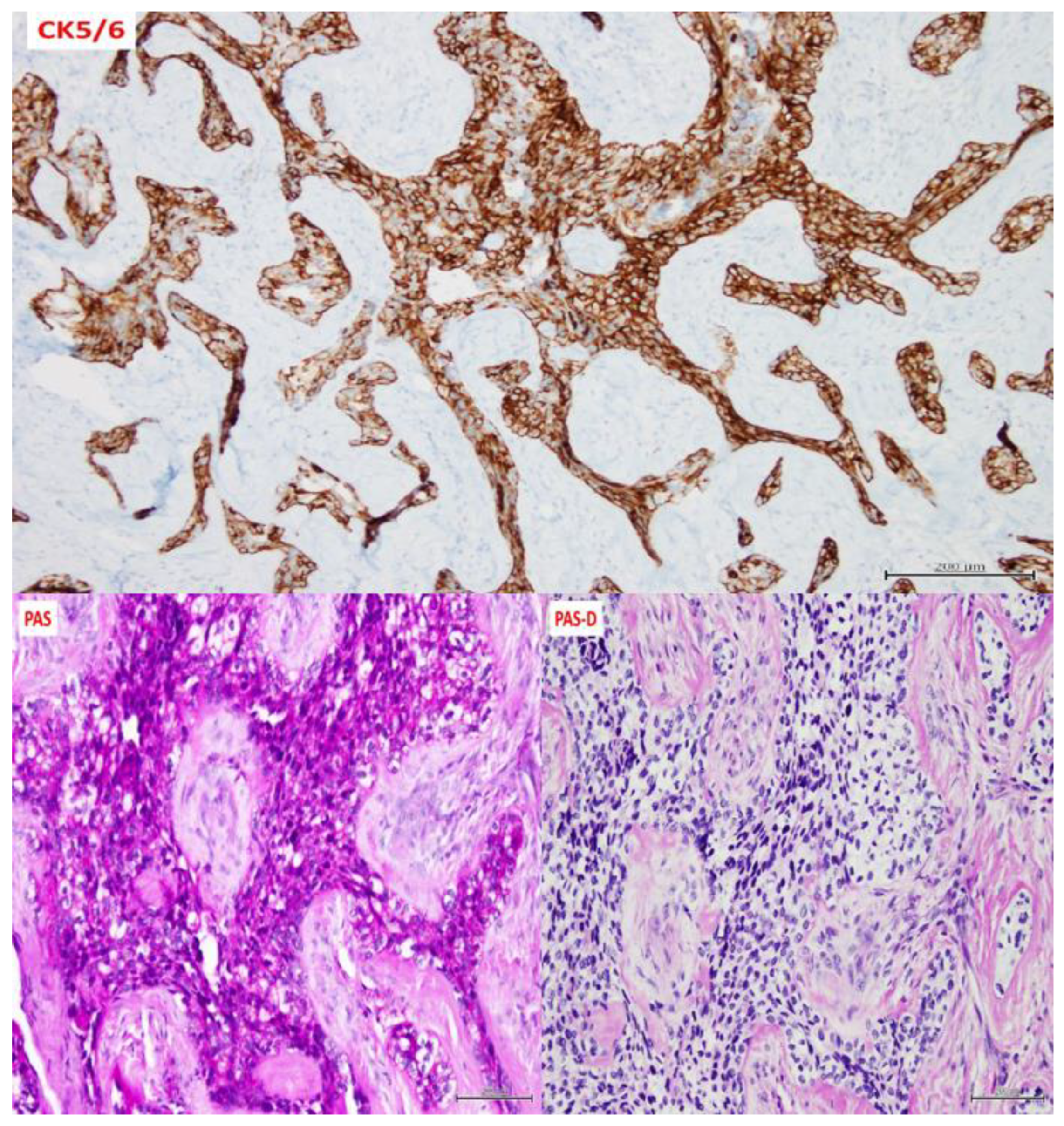 Dentistry 10 00034 g007