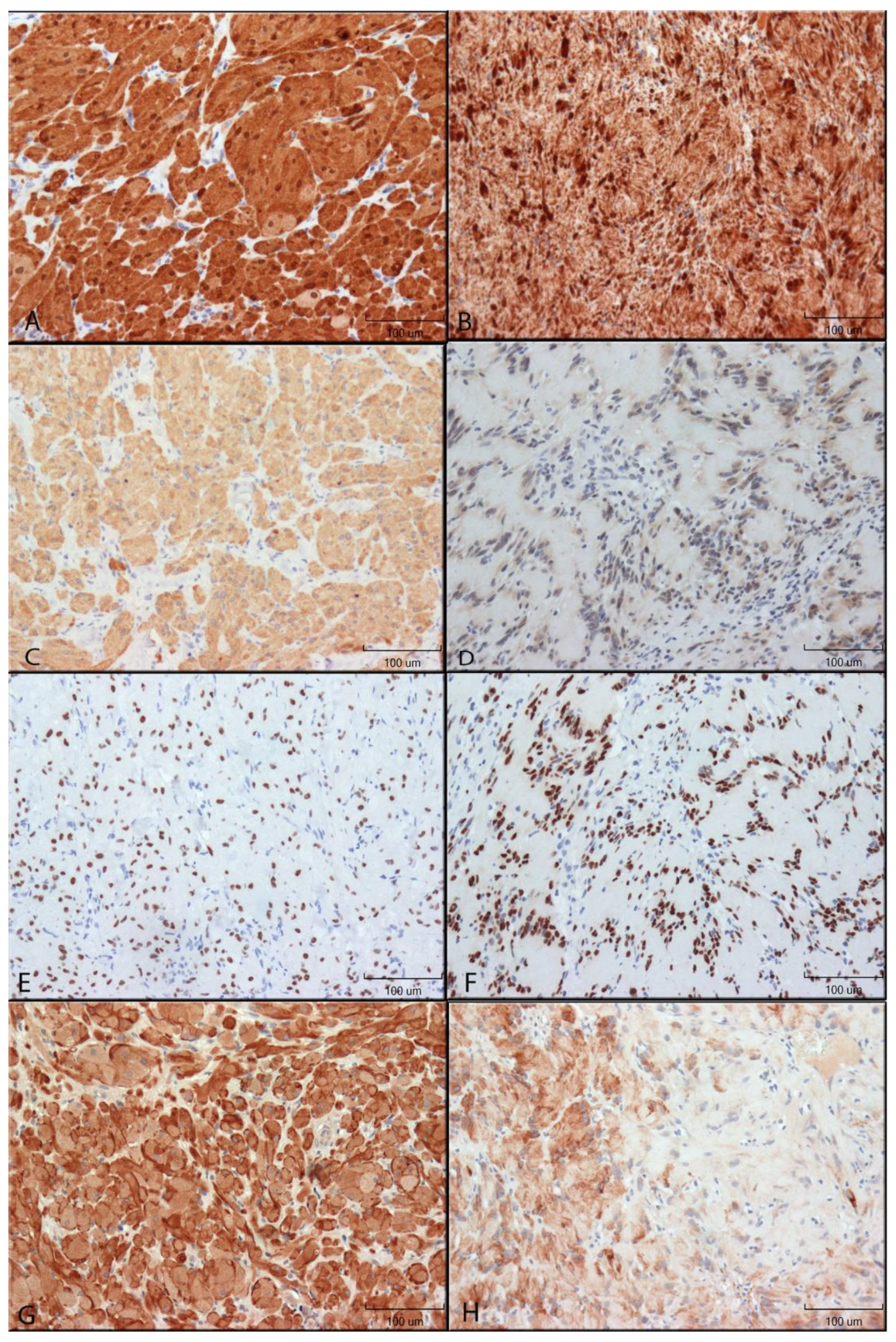 Dentistry 10 00038 g001 Dentistry 10 00038 g001