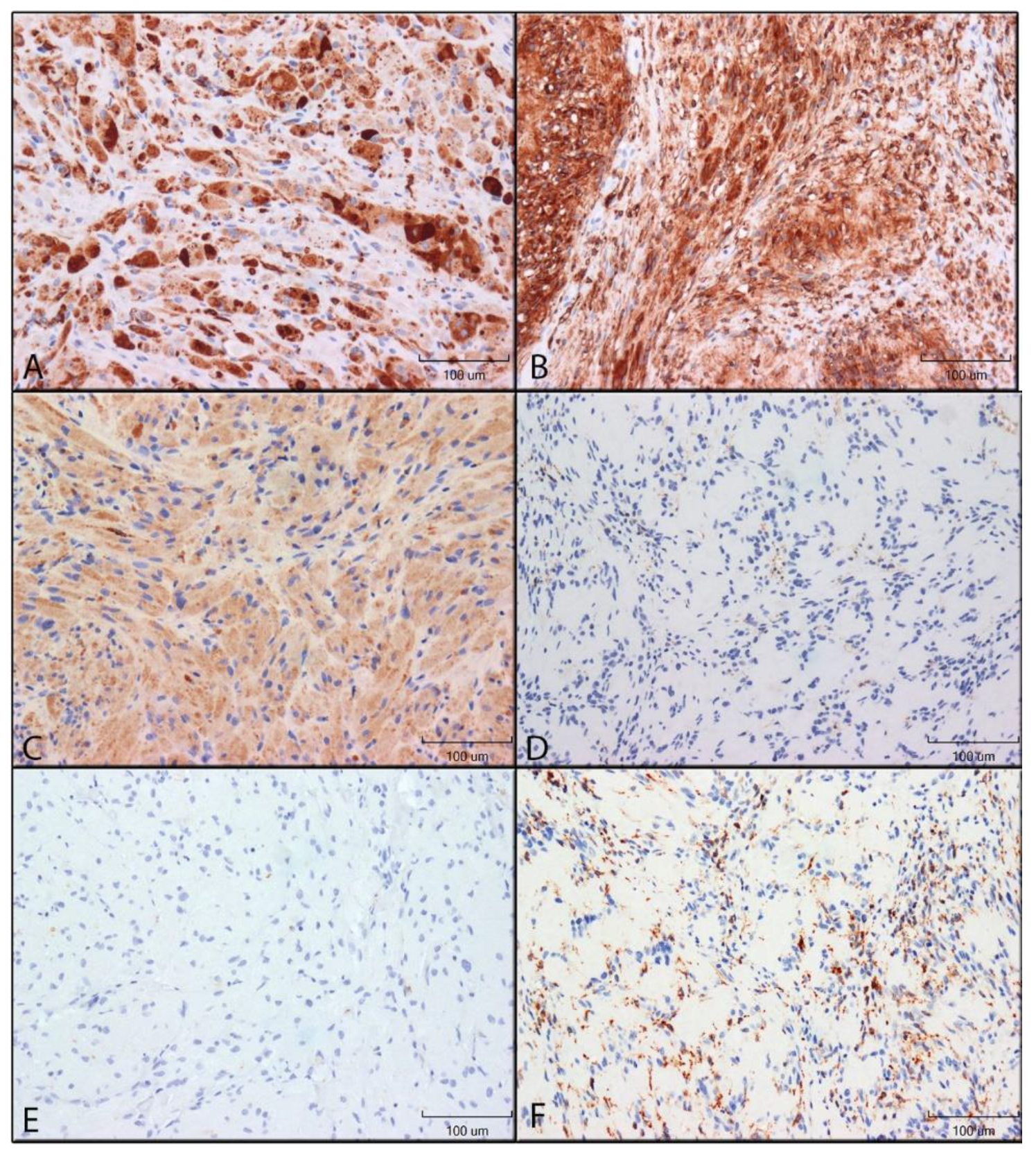 Dentistry 10 00038 g002 Dentistry 10 00038 g002