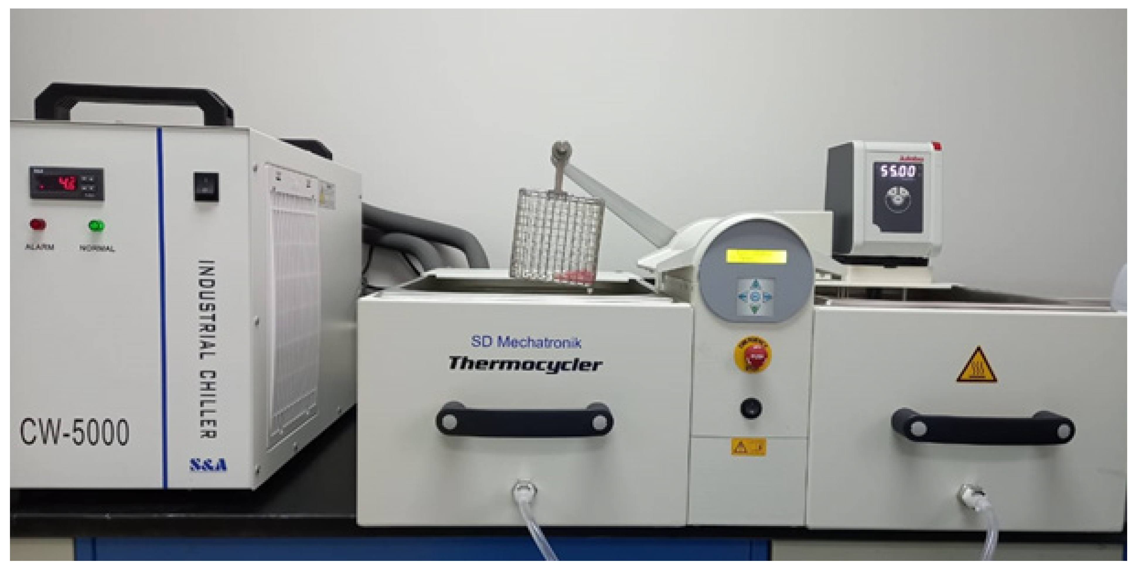 Dentistry 10 00042 g002