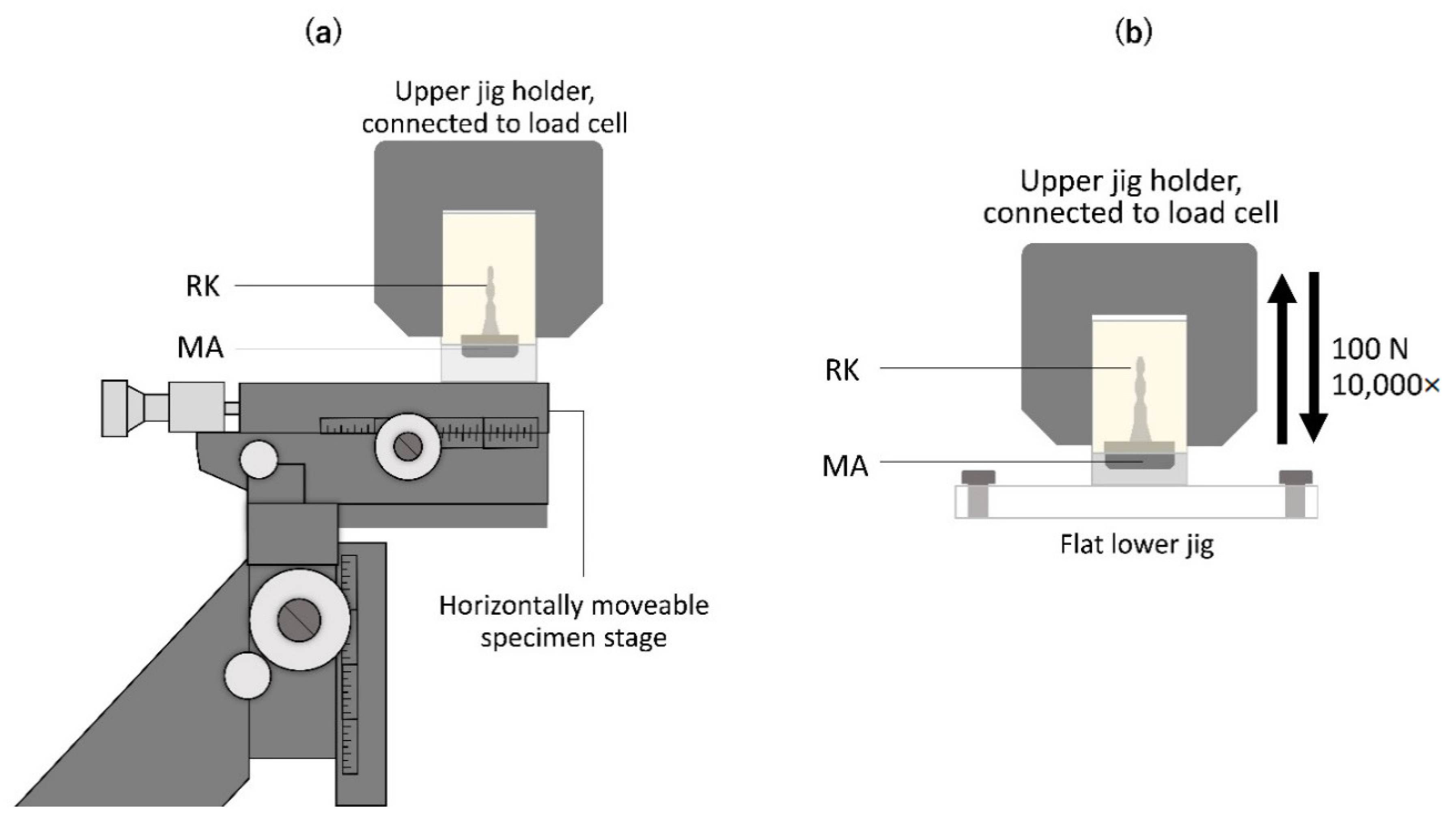 Dentistry 10 00075 g003