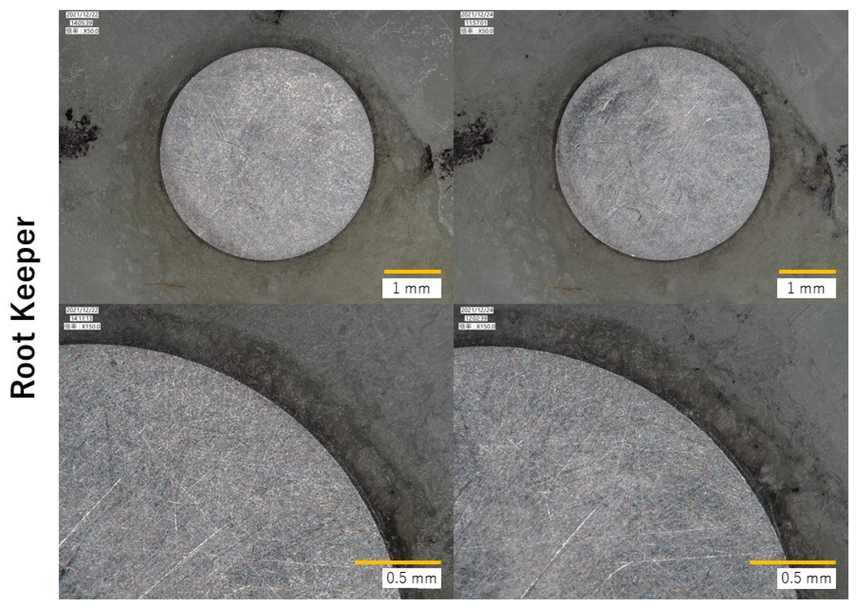 Dentistry 10 00075 g006b