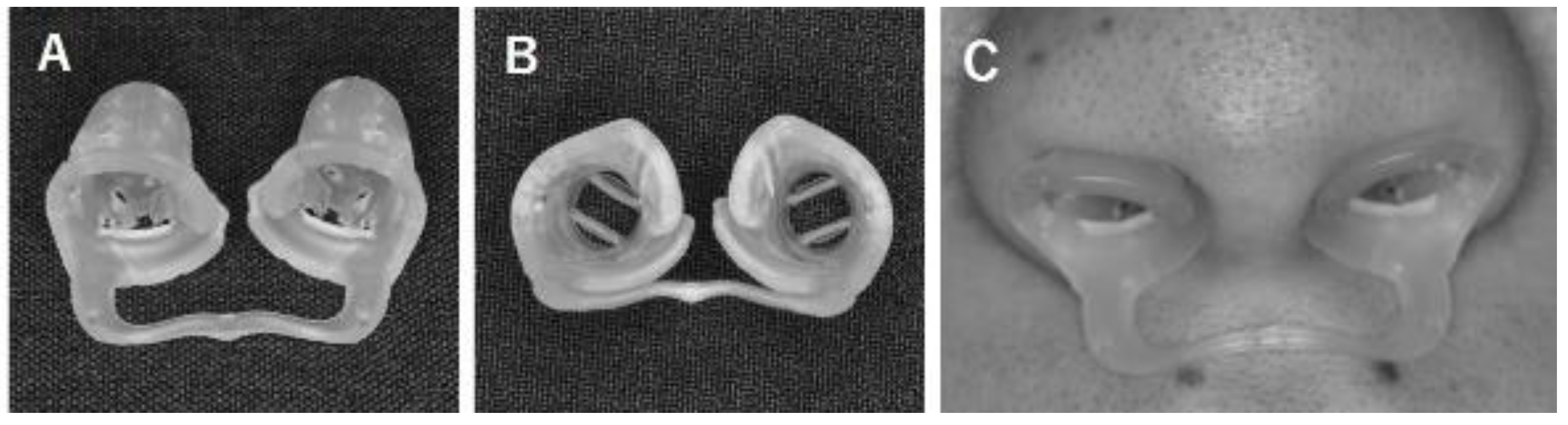 Dentistry 10 00081 g001