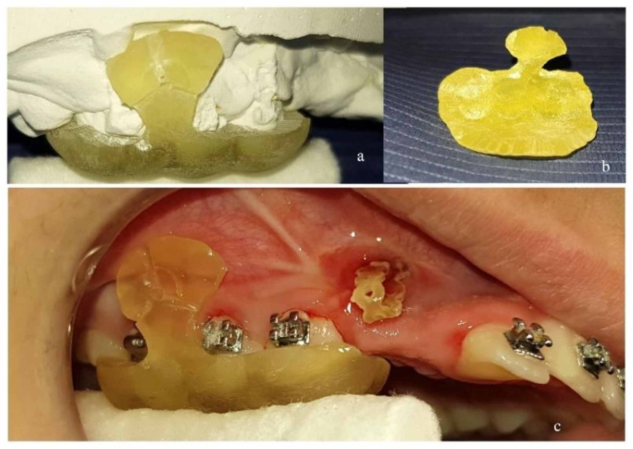Dentistry 10 00104 g002