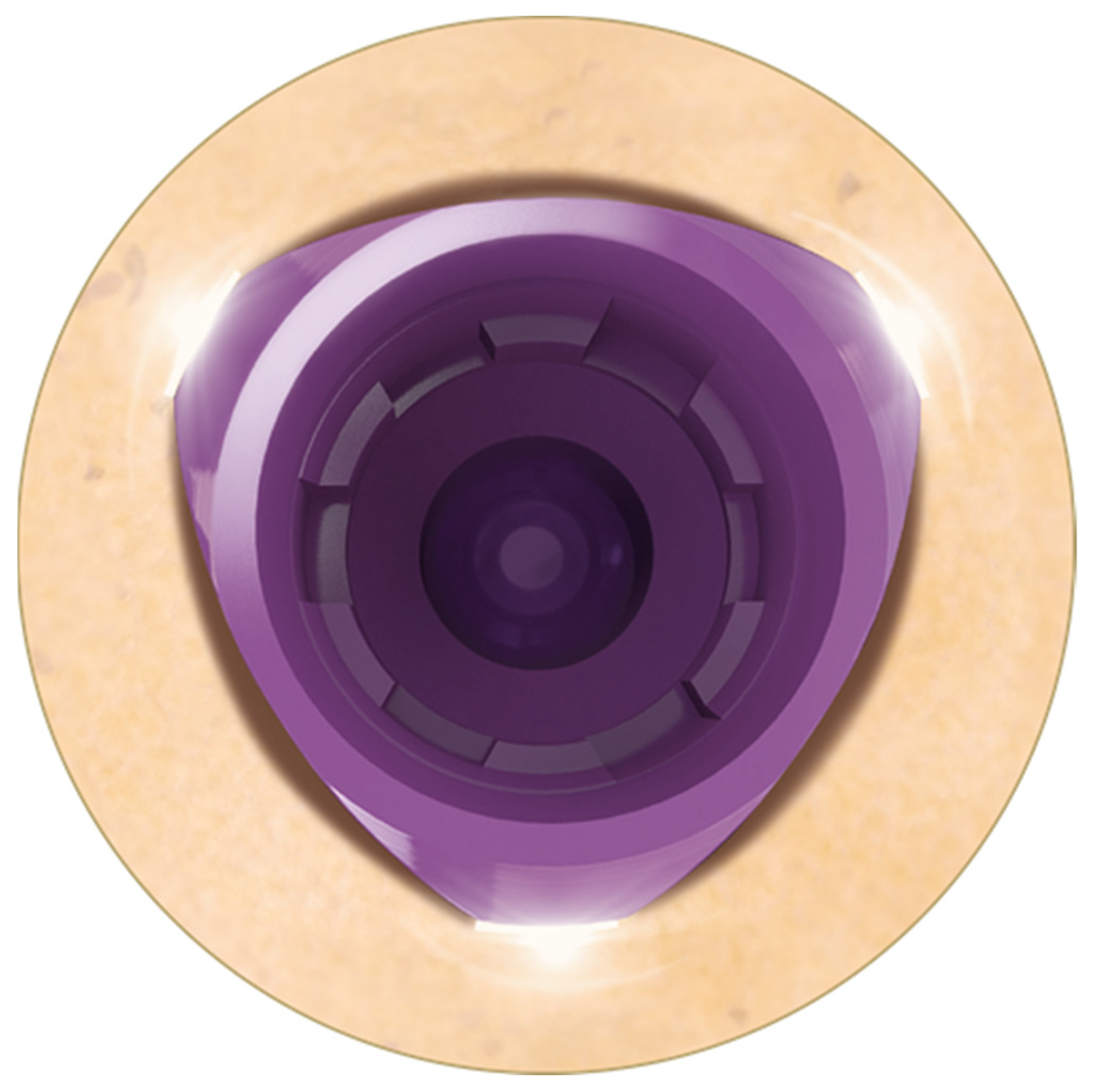 Dentistry 10 00113 g002