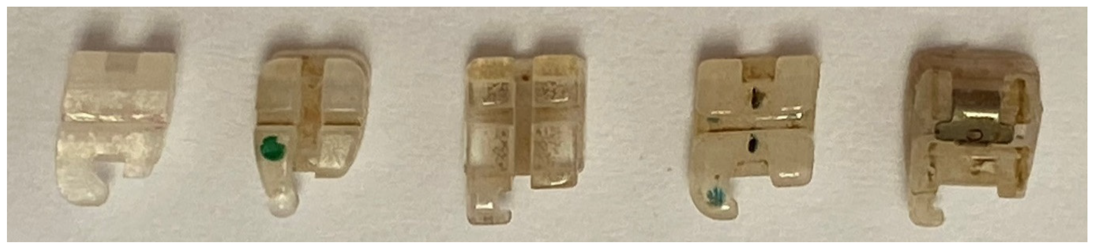 Dentistry 10 00115 g002