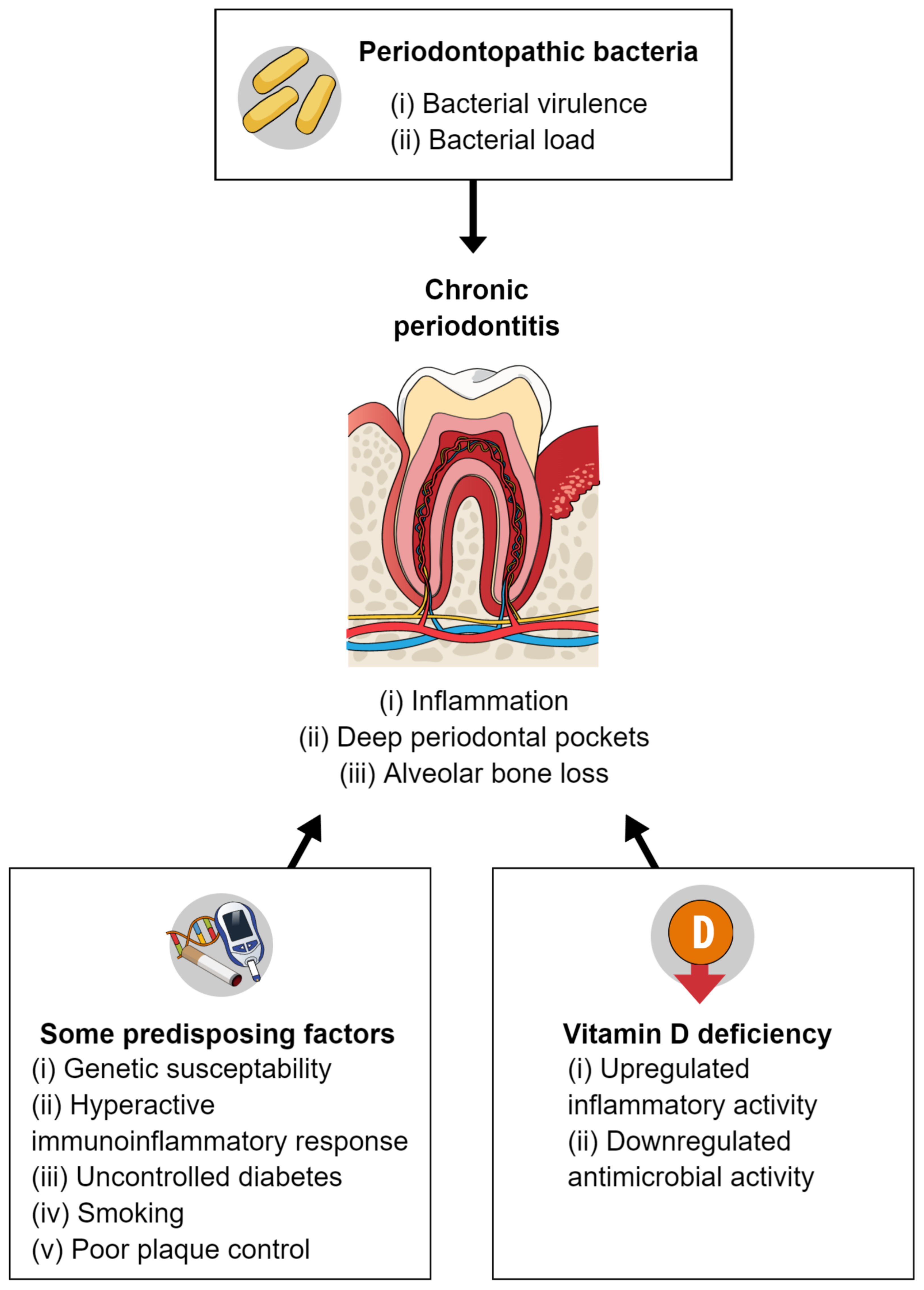 Dentistry 10 00120 g002 550