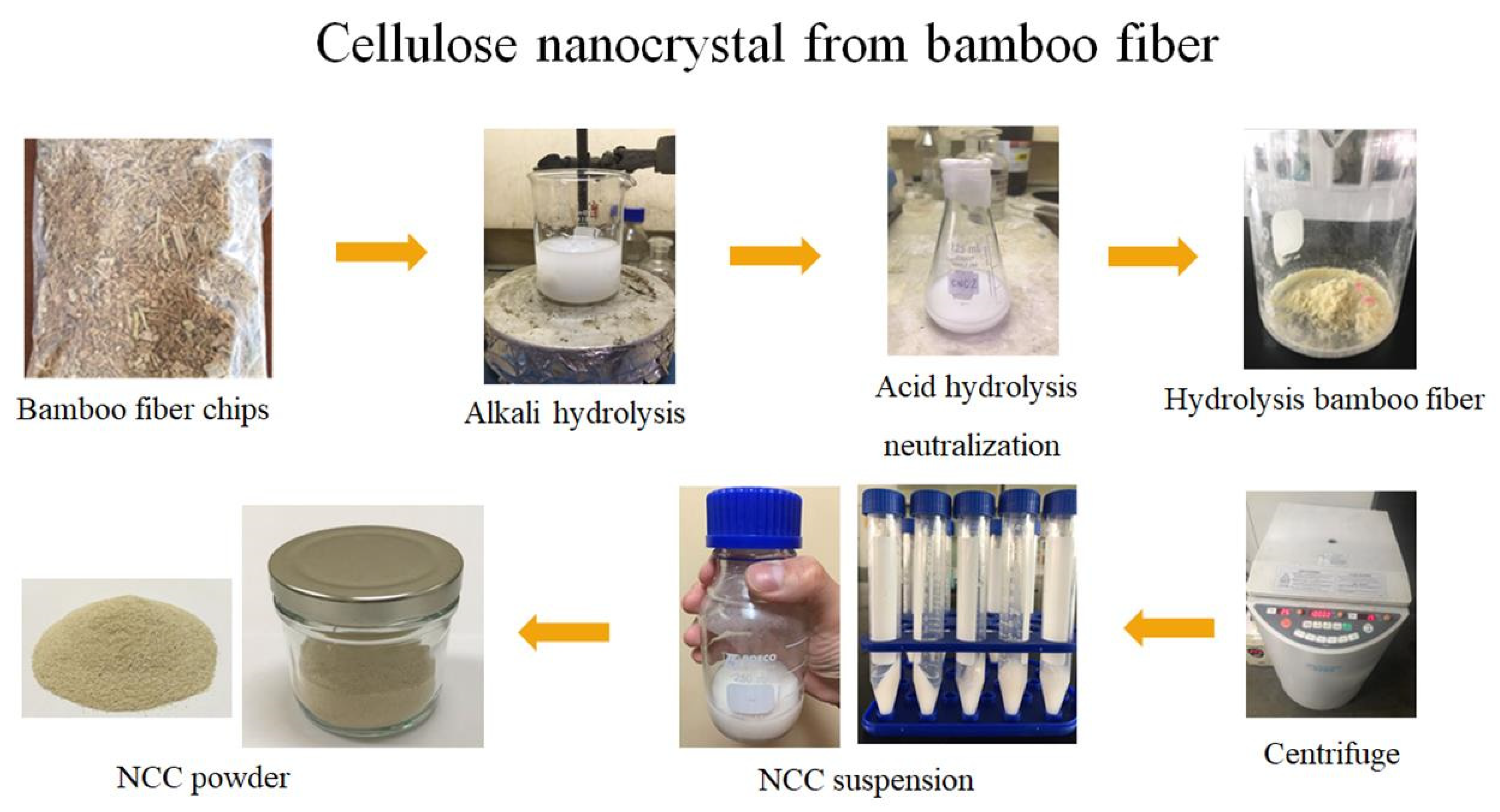 Dentistry 10 00129 g001