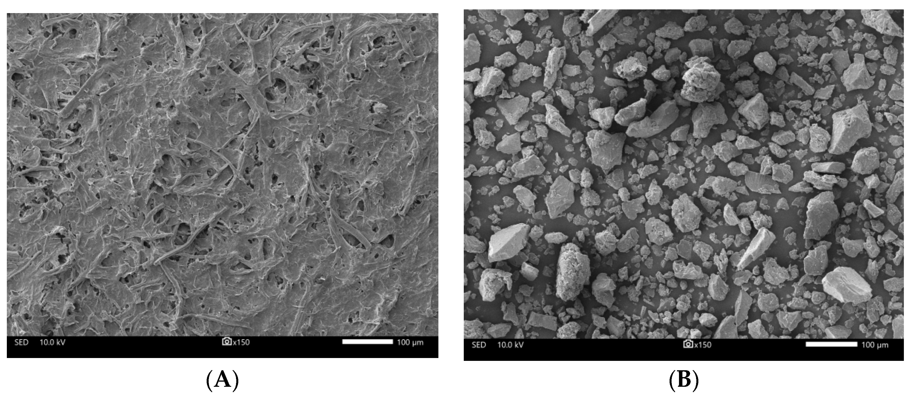 Dentistry 10 00129 g002