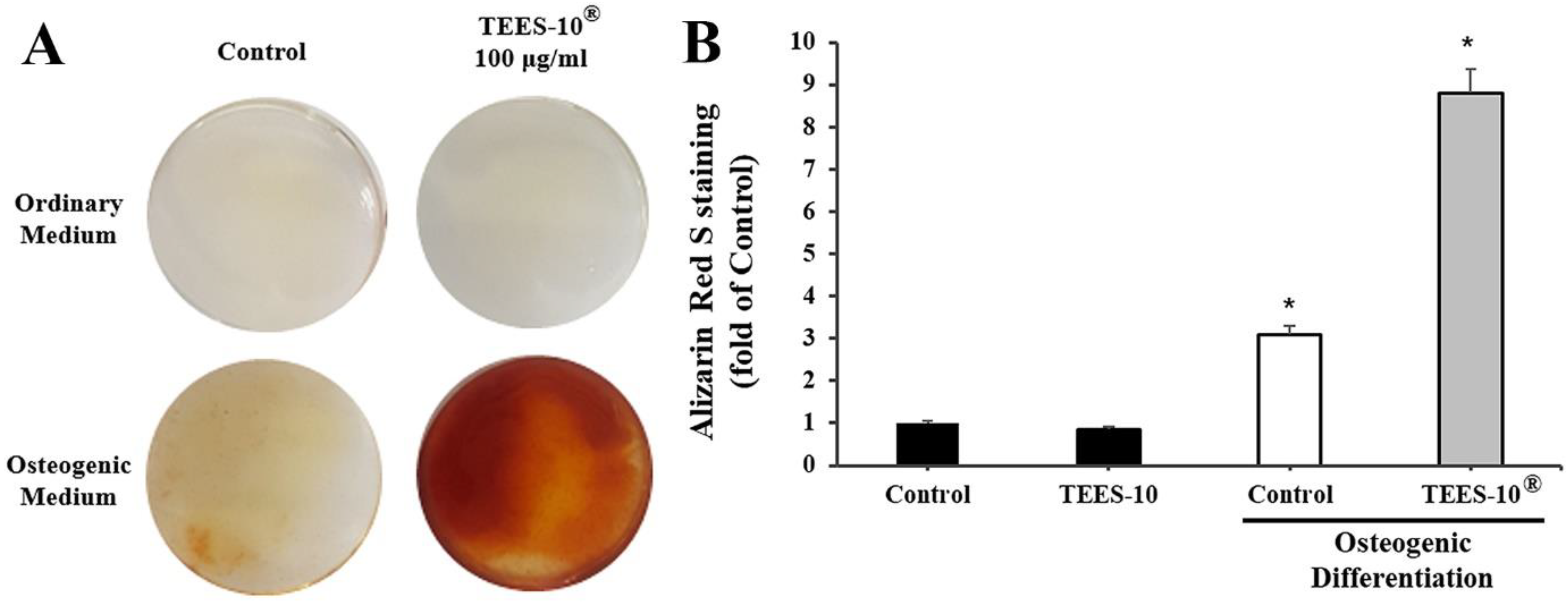 Dentistry 10 00143 g005 Dentistry 10 00143 g005