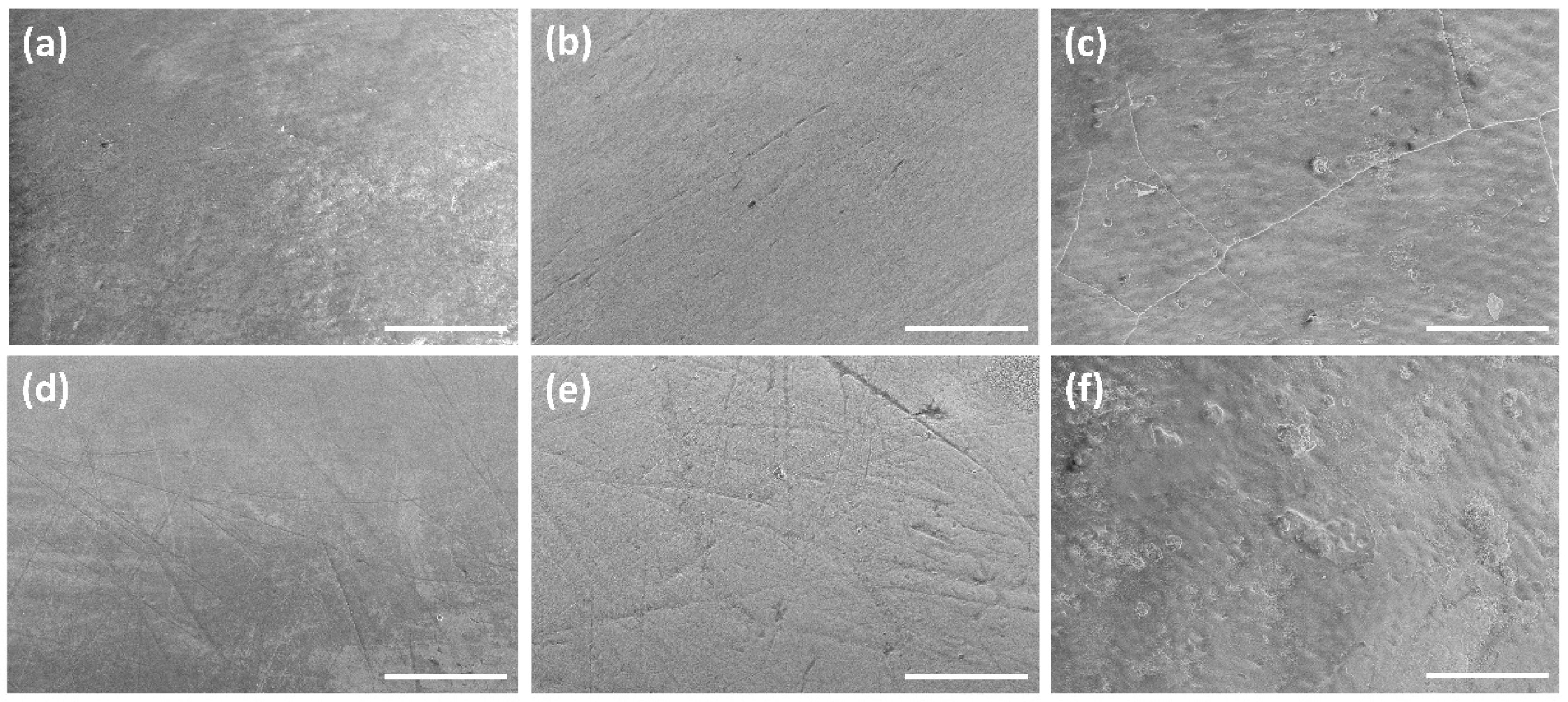 Dentistry 10 00153 g004