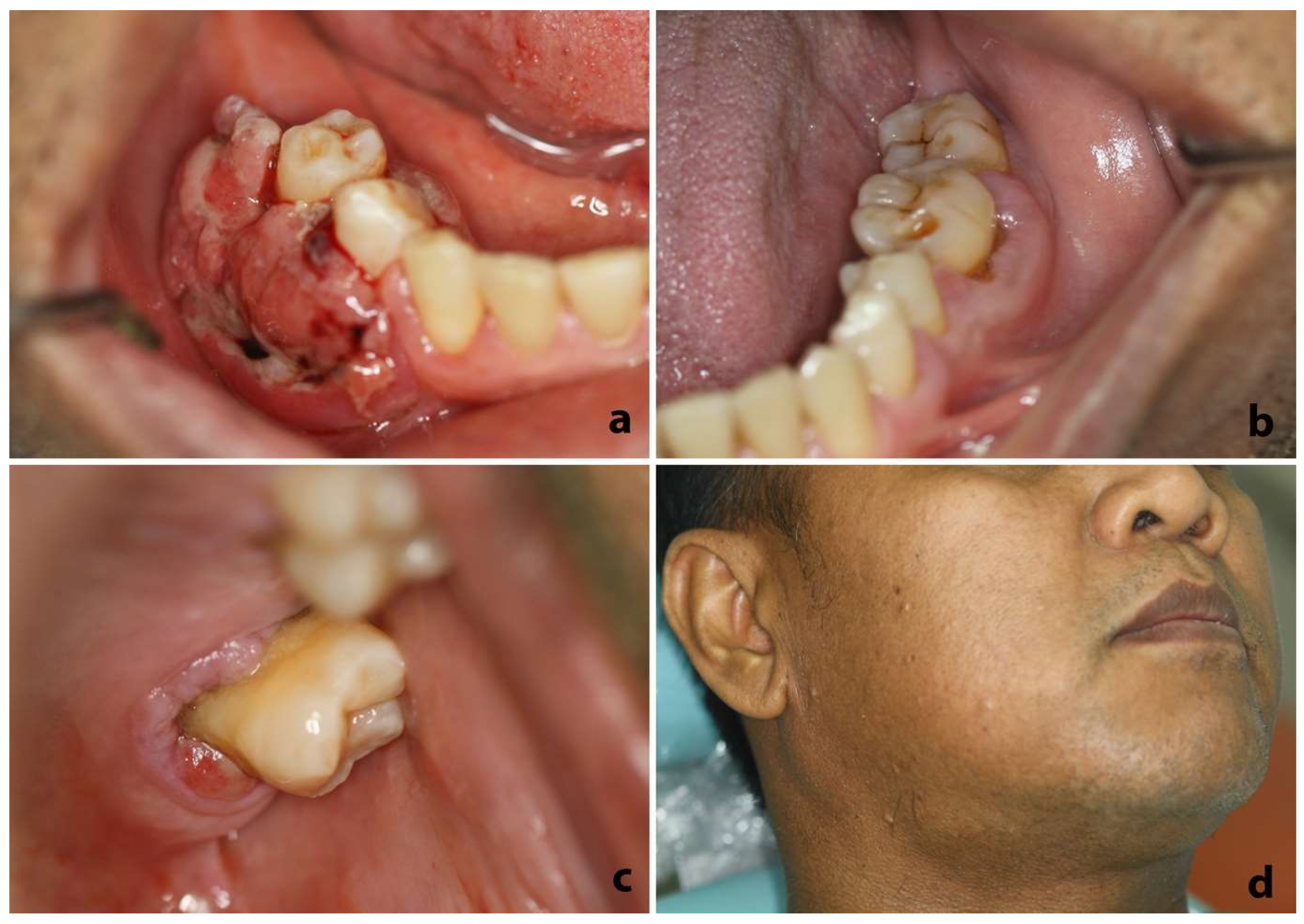 Dentistry 10 00165 g001
