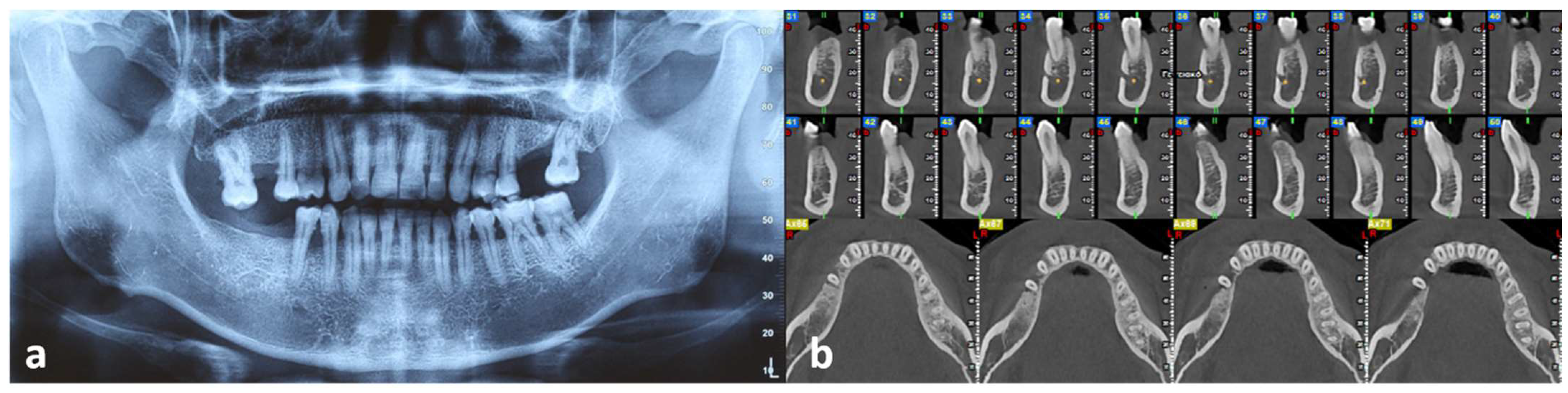 Dentistry 10 00165 g002
