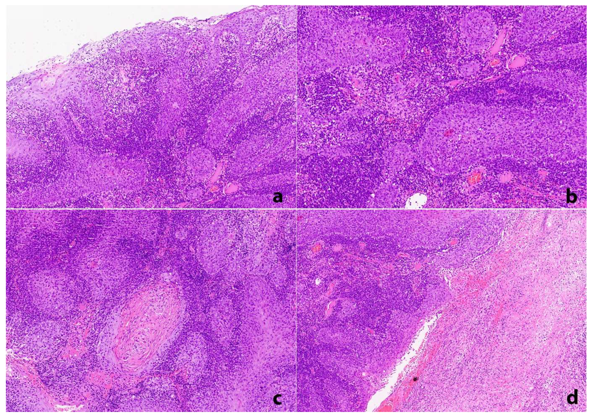 Dentistry 10 00165 g003