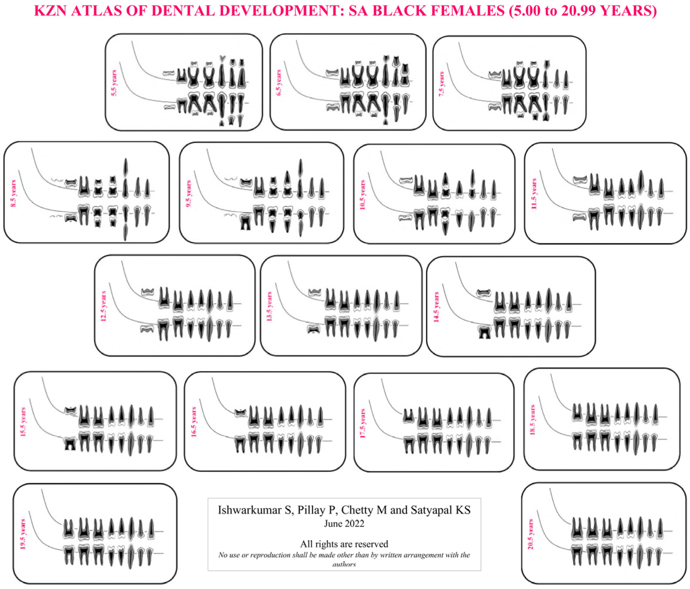 Dentistry Journal Free FullText Employing the London Atlas in the