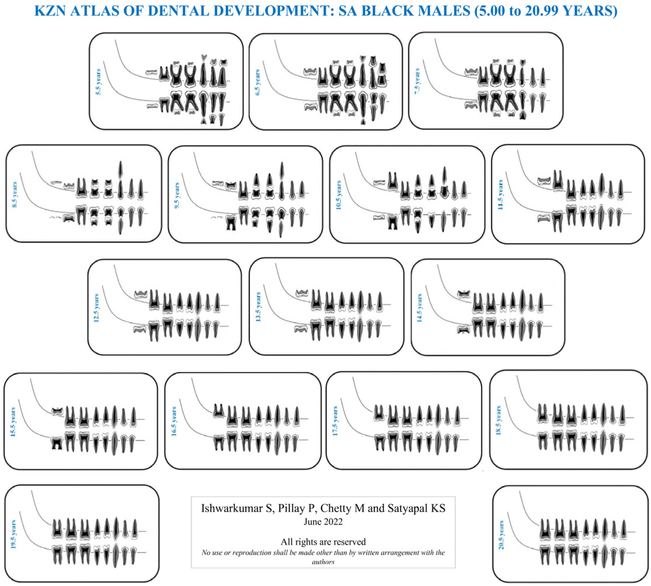 Dentistry 10 00171 g002