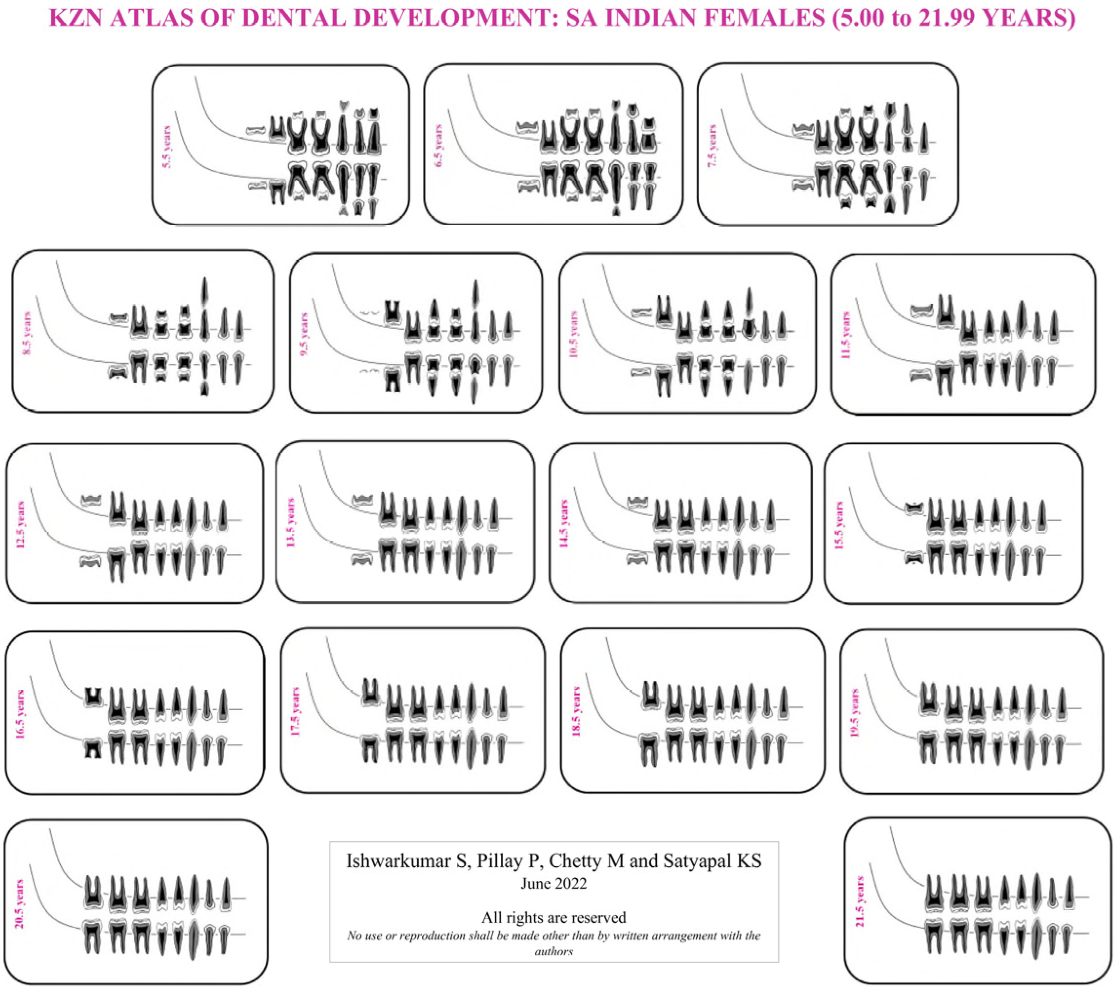 Dentistry 10 00171 g003