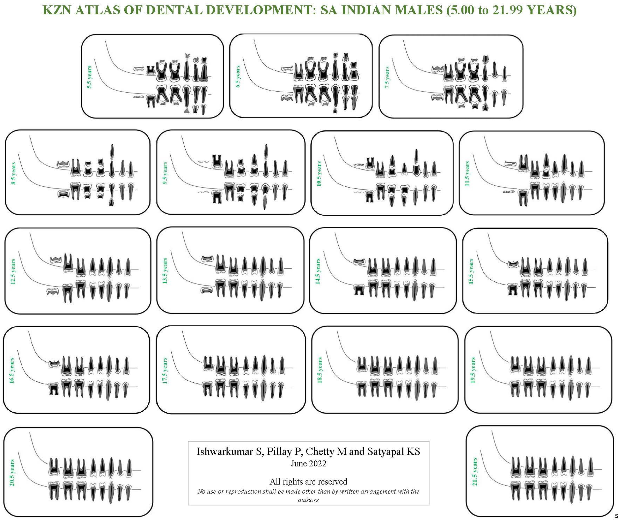 Dentistry 10 00171 g004