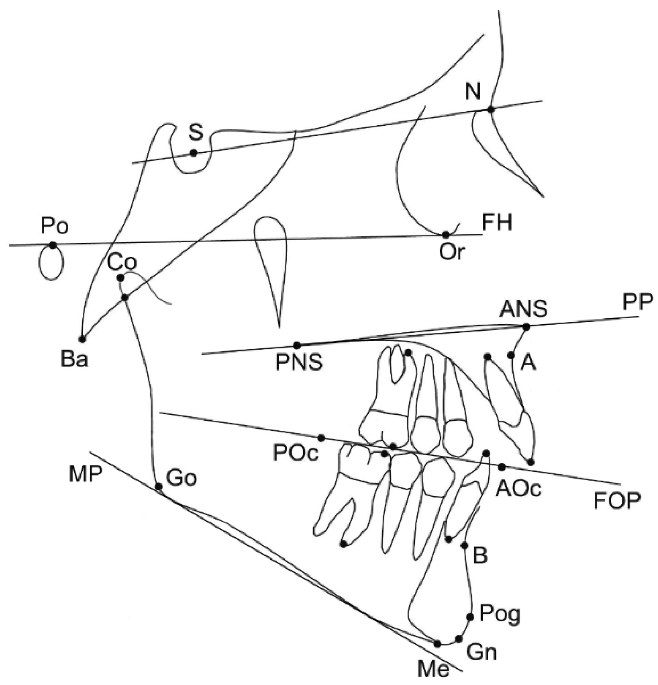 Dentistry 10 00175 g002