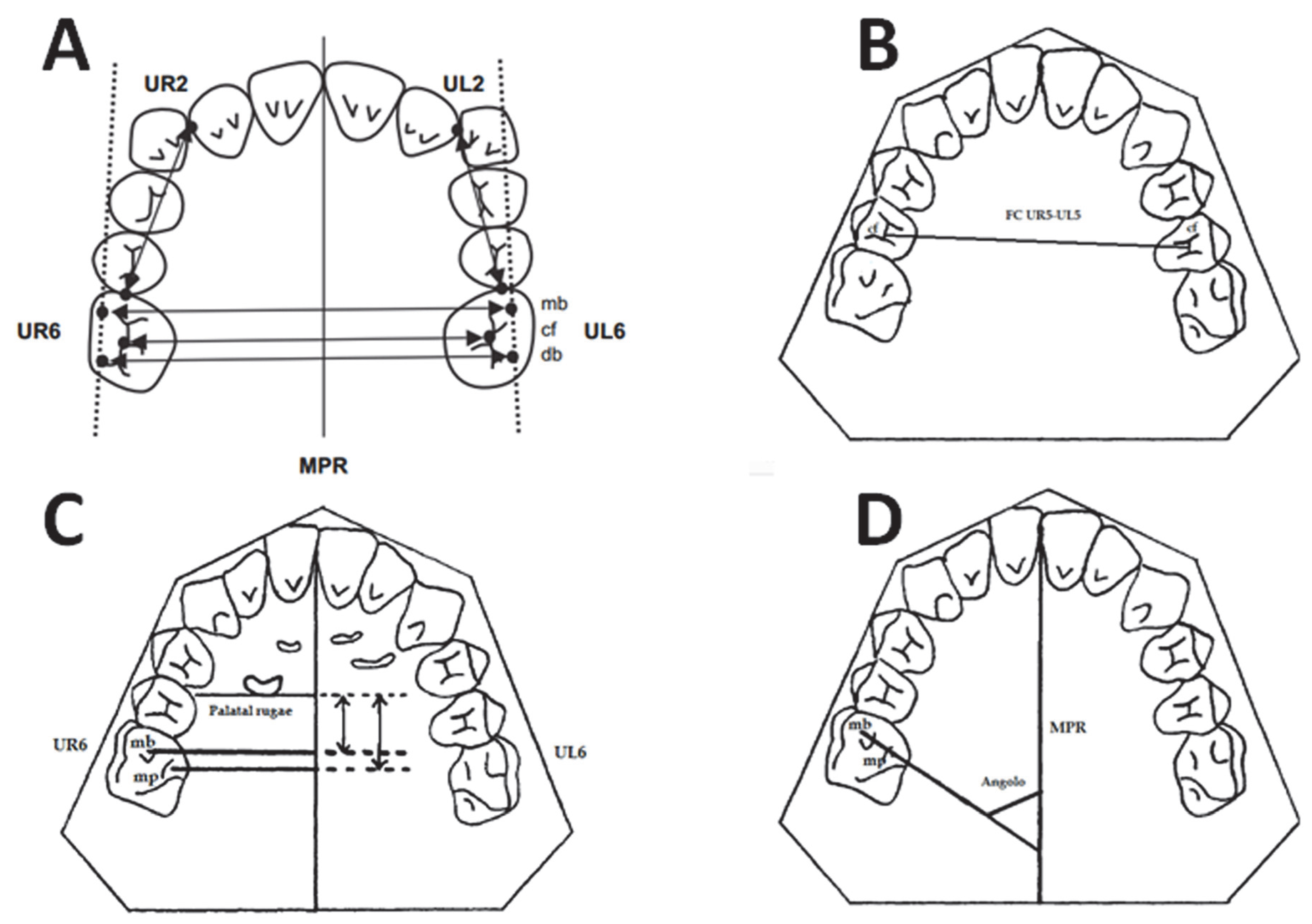 Dentistry 10 00179 g004